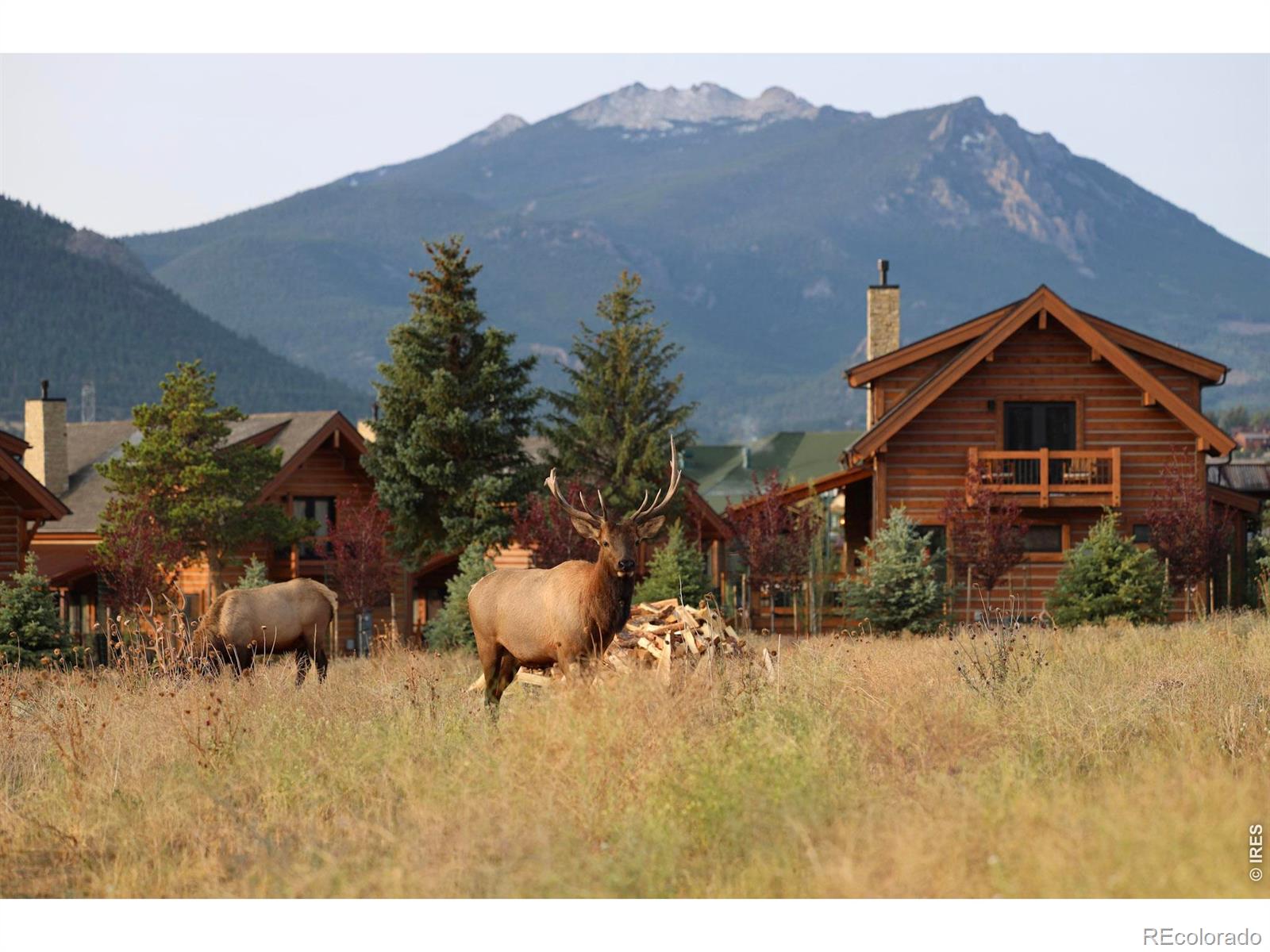 MLS Image #44 for 1721  theater way,estes park, Colorado