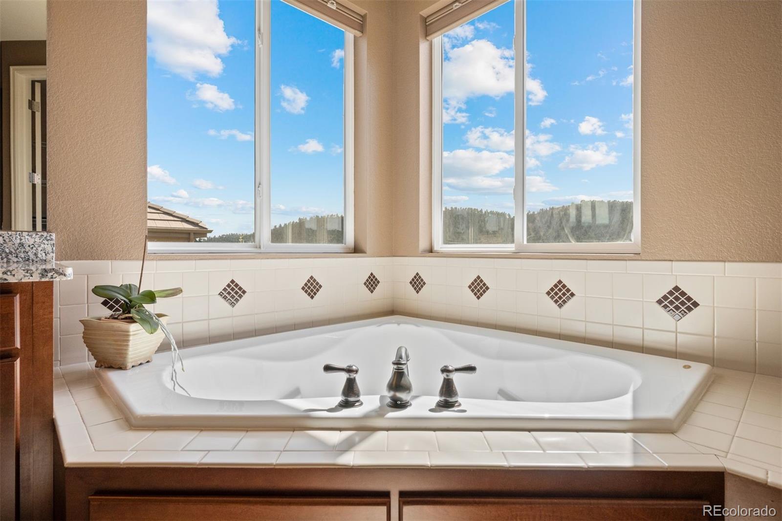 MLS Image #26 for 860  elk rest road,evergreen, Colorado