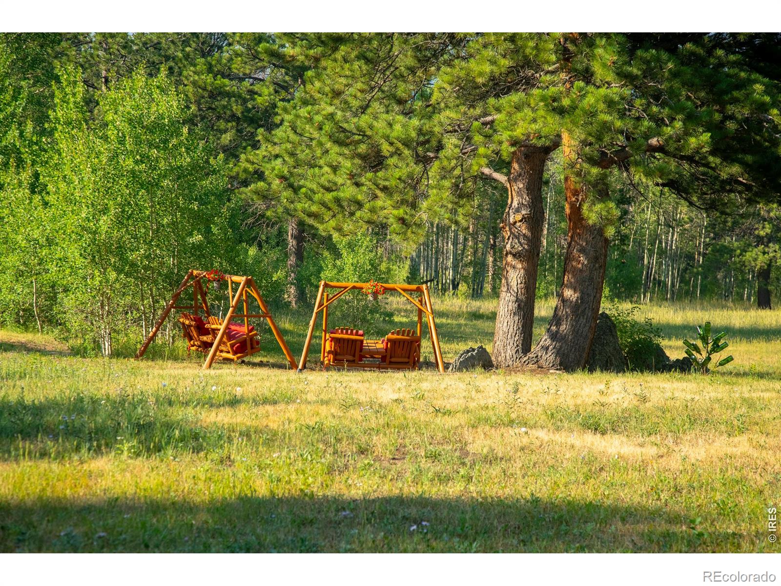 MLS Image #37 for 6727  storm mountain drive,drake, Colorado