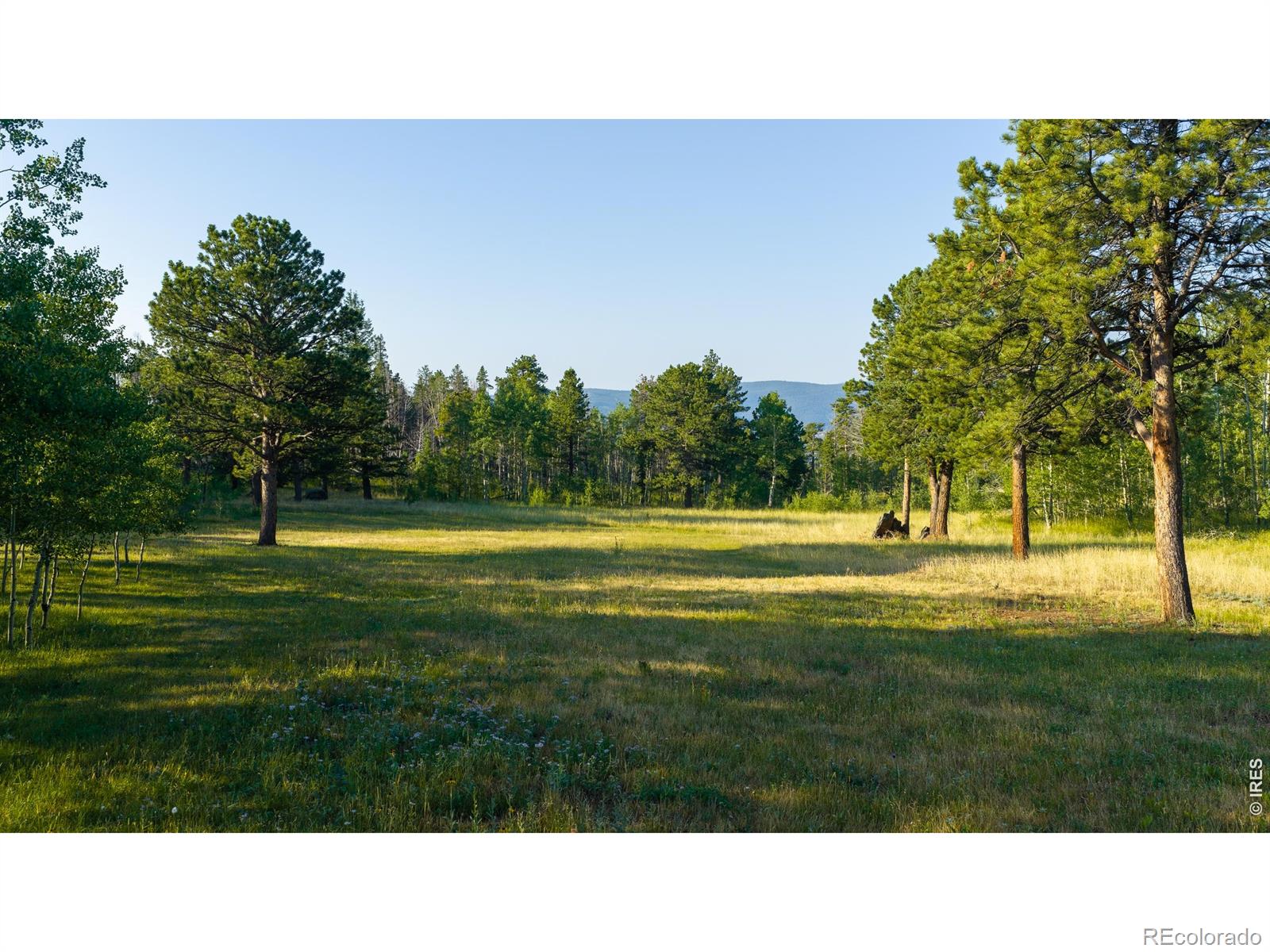 MLS Image #43 for 6727  storm mountain drive,drake, Colorado