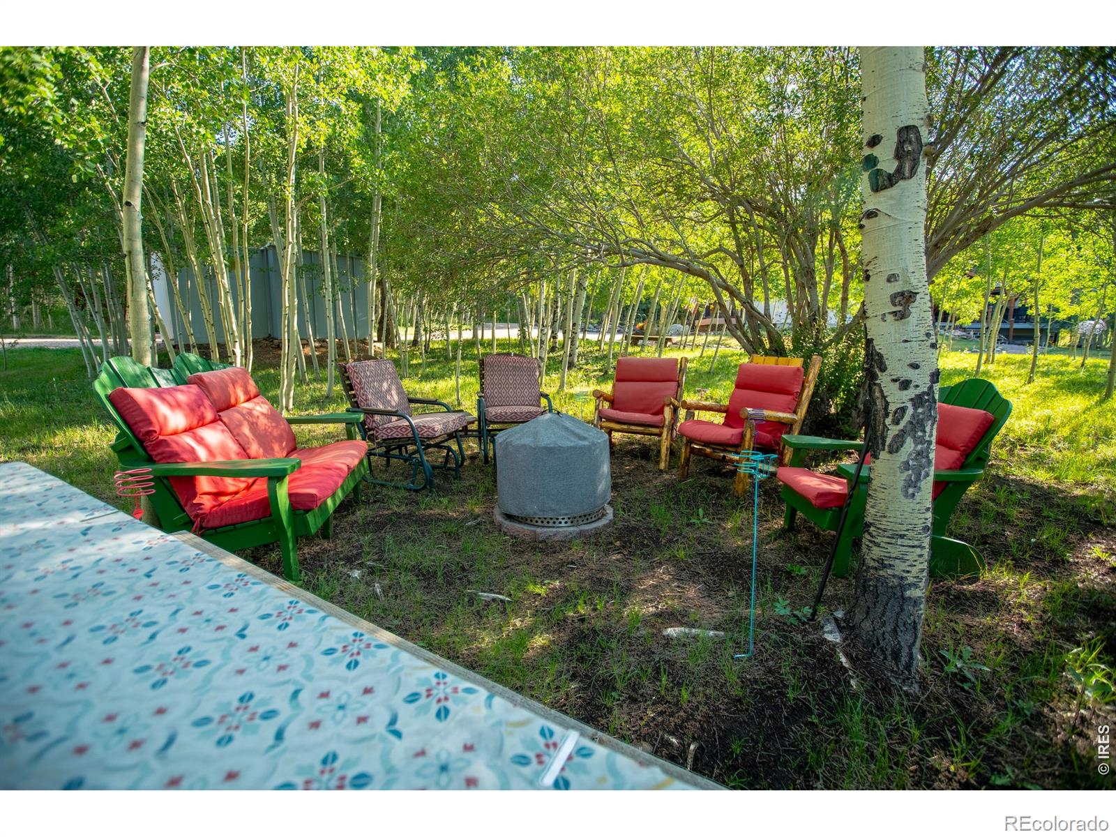 MLS Image #7 for 6727  storm mountain drive,drake, Colorado