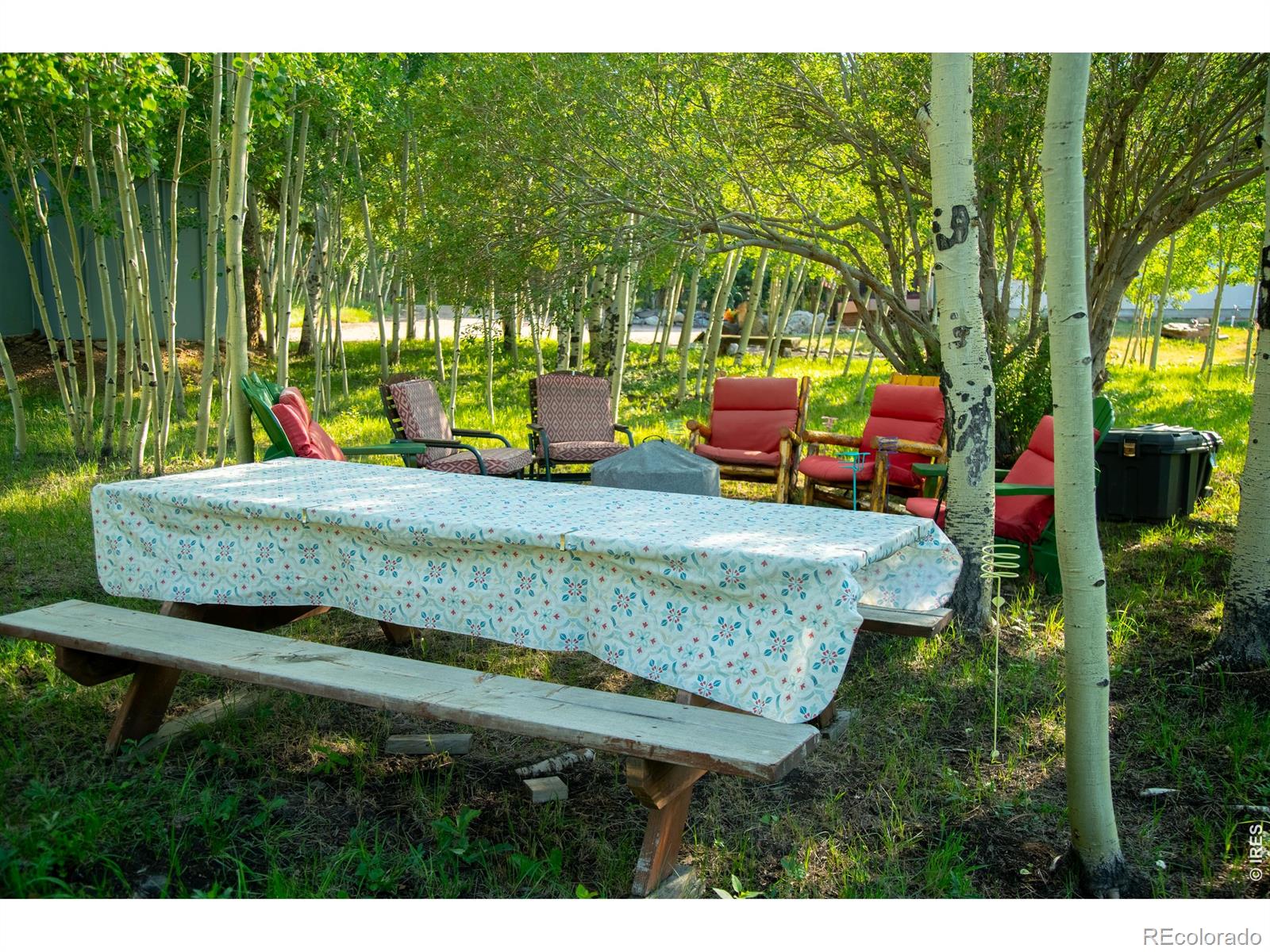 MLS Image #8 for 6727  storm mountain drive,drake, Colorado