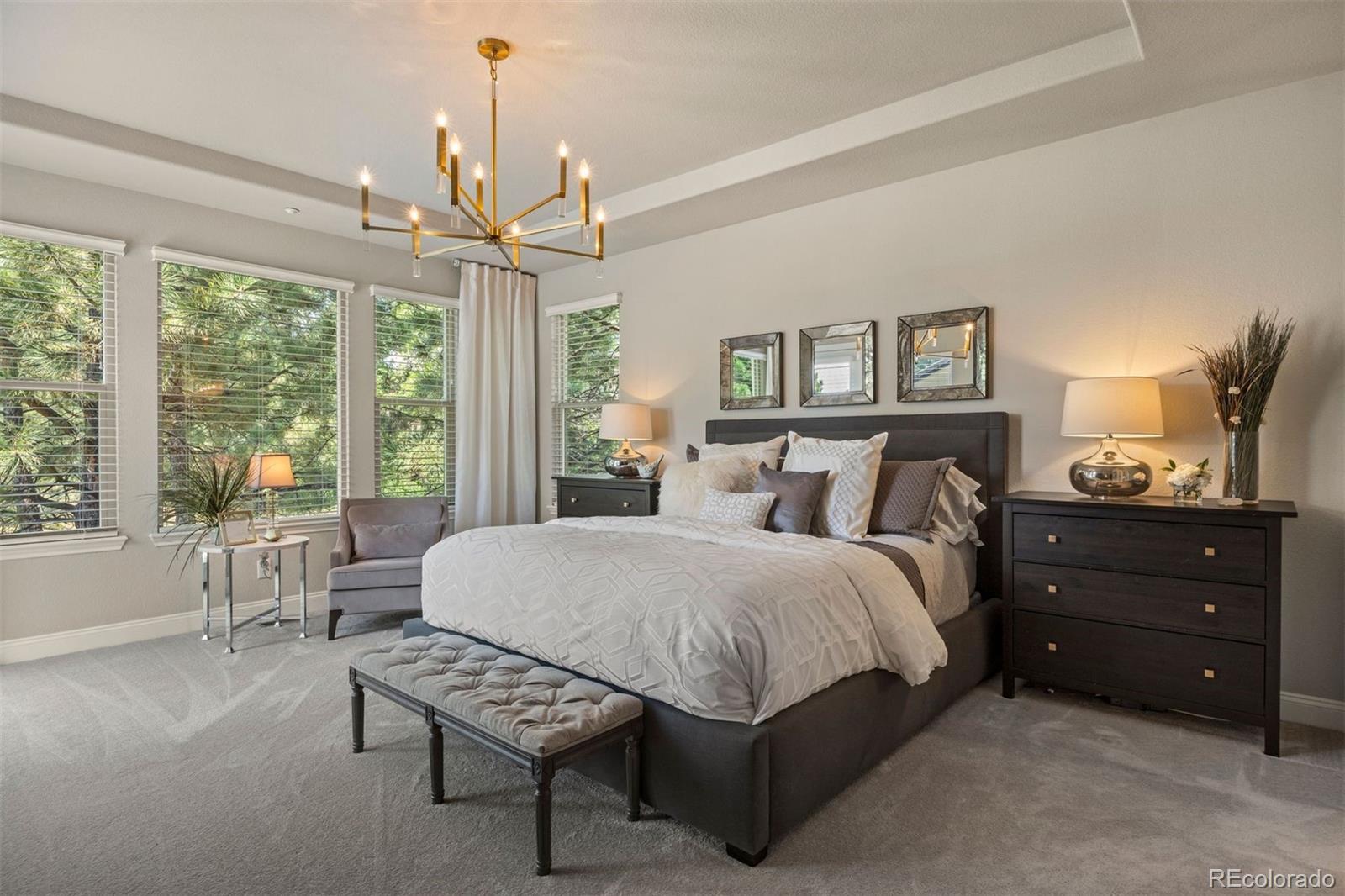 MLS Image #5 for 5009  vermillion court,castle rock, Colorado