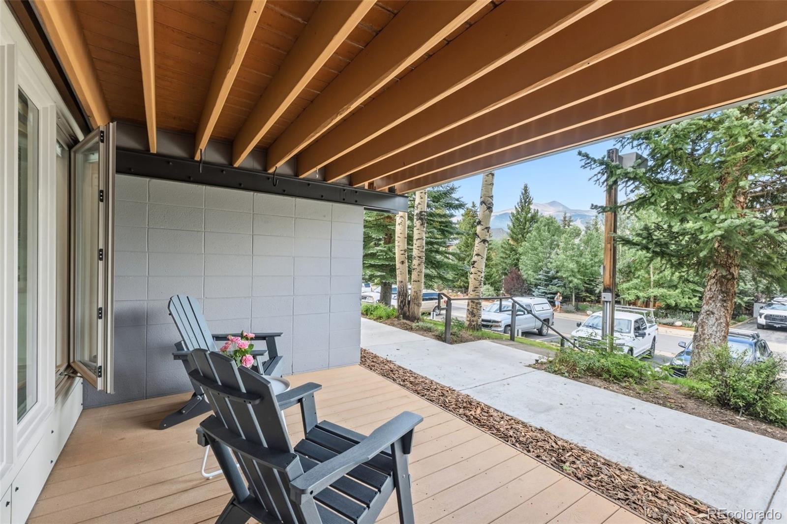 MLS Image #23 for 302 s high street,breckenridge, Colorado