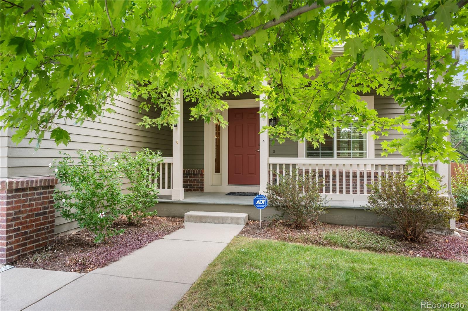 MLS Image #2 for 346  tynan drive,erie, Colorado