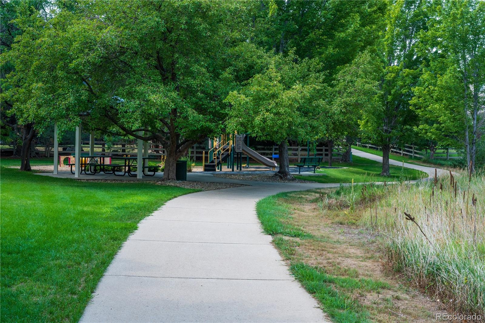 MLS Image #36 for 346  tynan drive,erie, Colorado