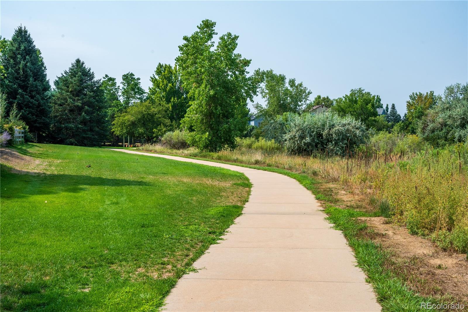 MLS Image #38 for 346  tynan drive,erie, Colorado
