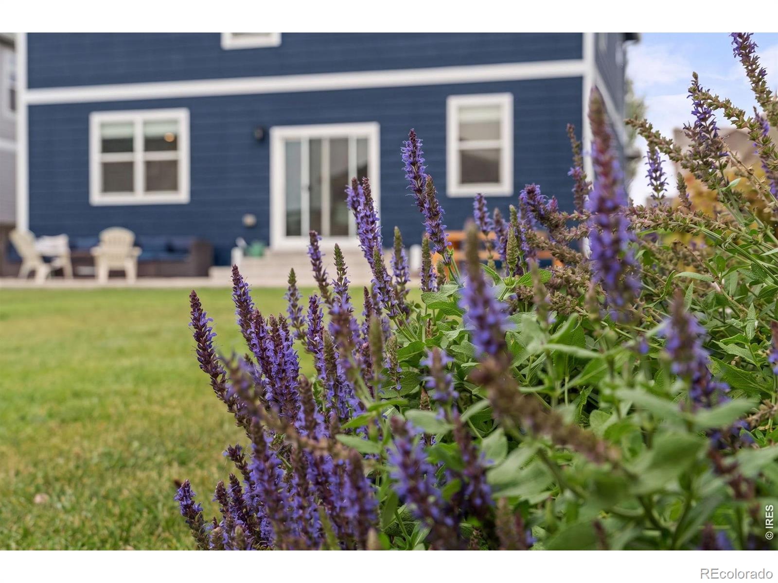 MLS Image #36 for 711  lake emerson road,severance, Colorado