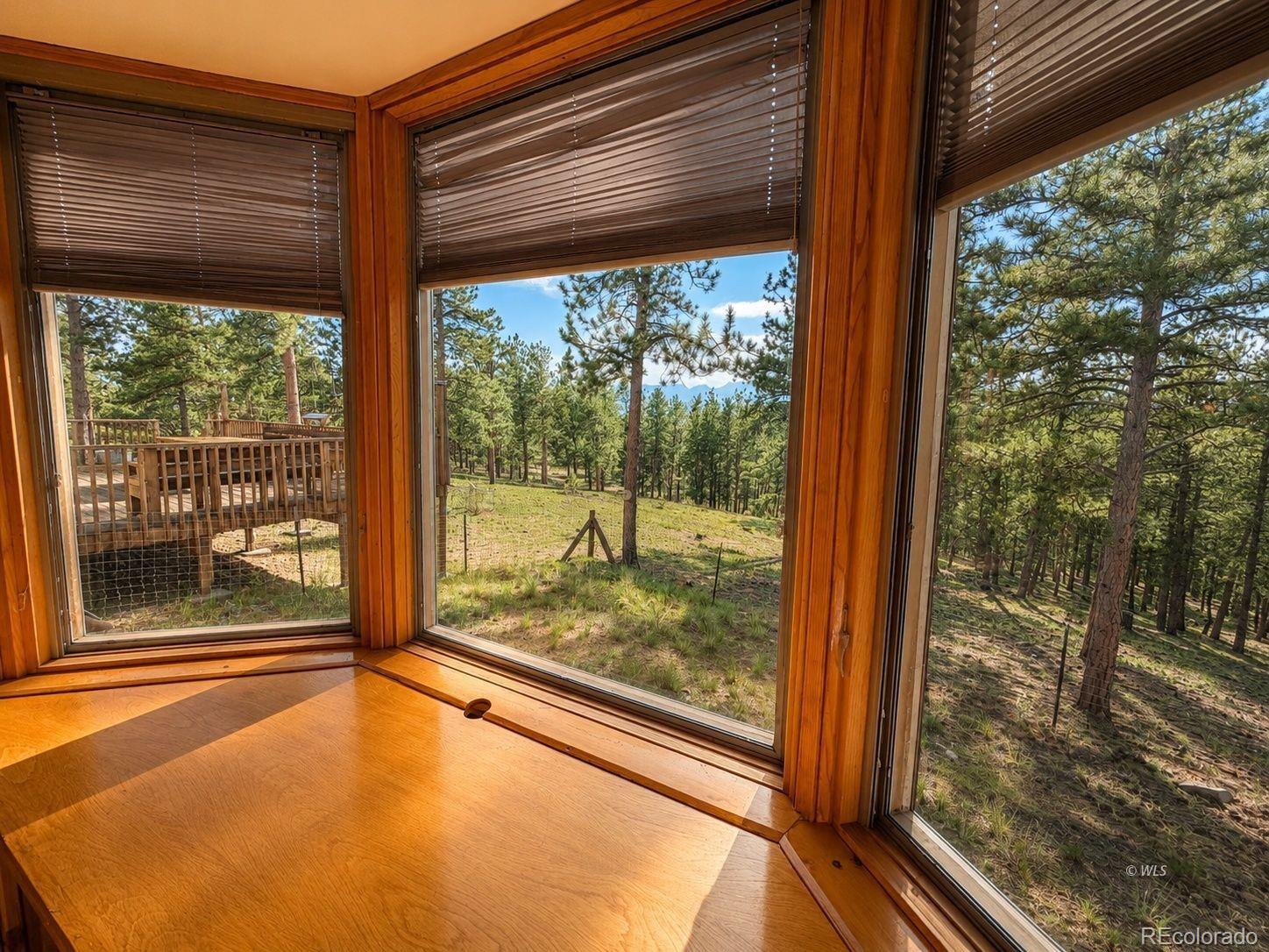 MLS Image #11 for 4701  county road 323 ,westcliffe, Colorado