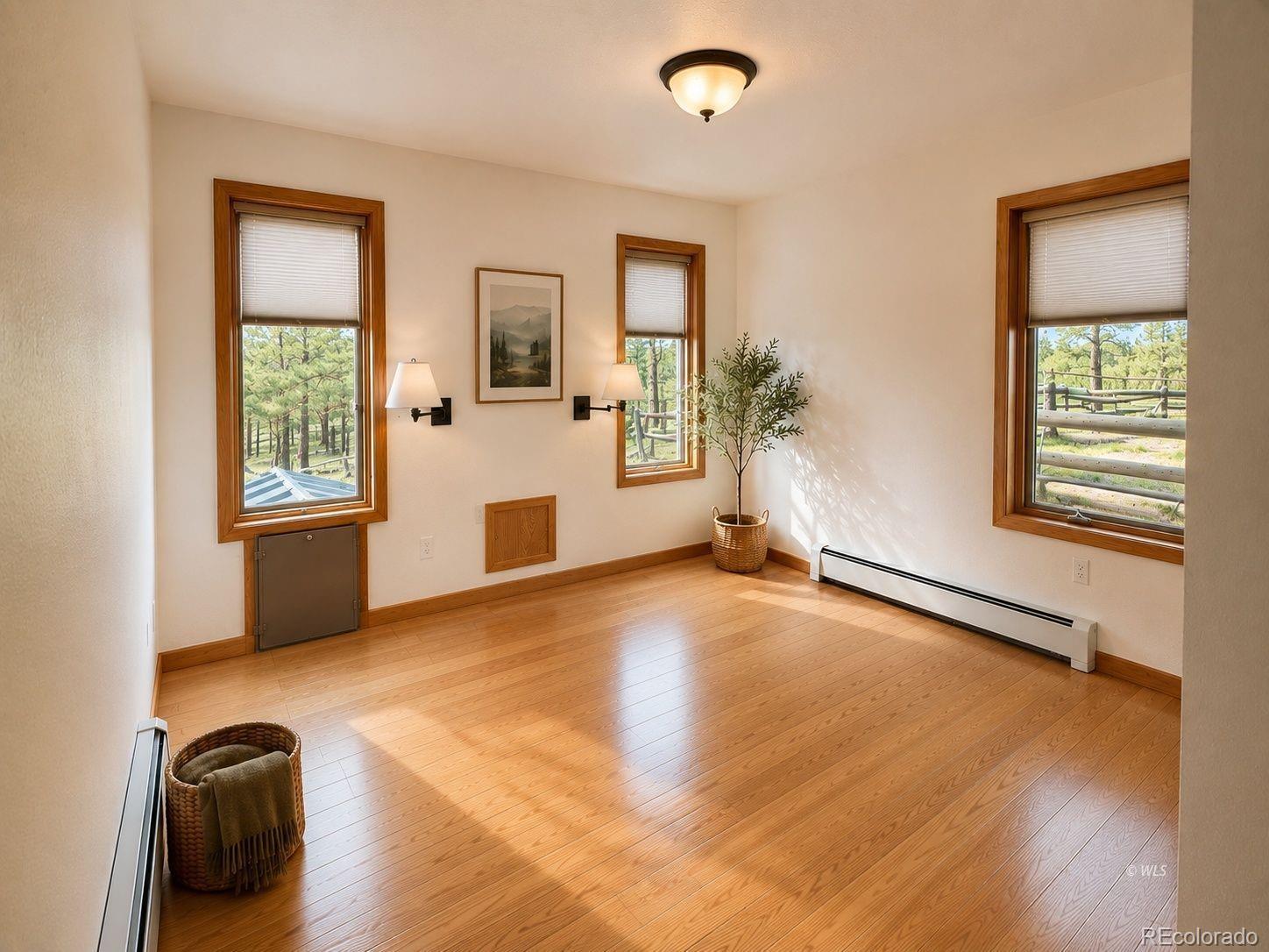 MLS Image #15 for 4701  county road 323 ,westcliffe, Colorado