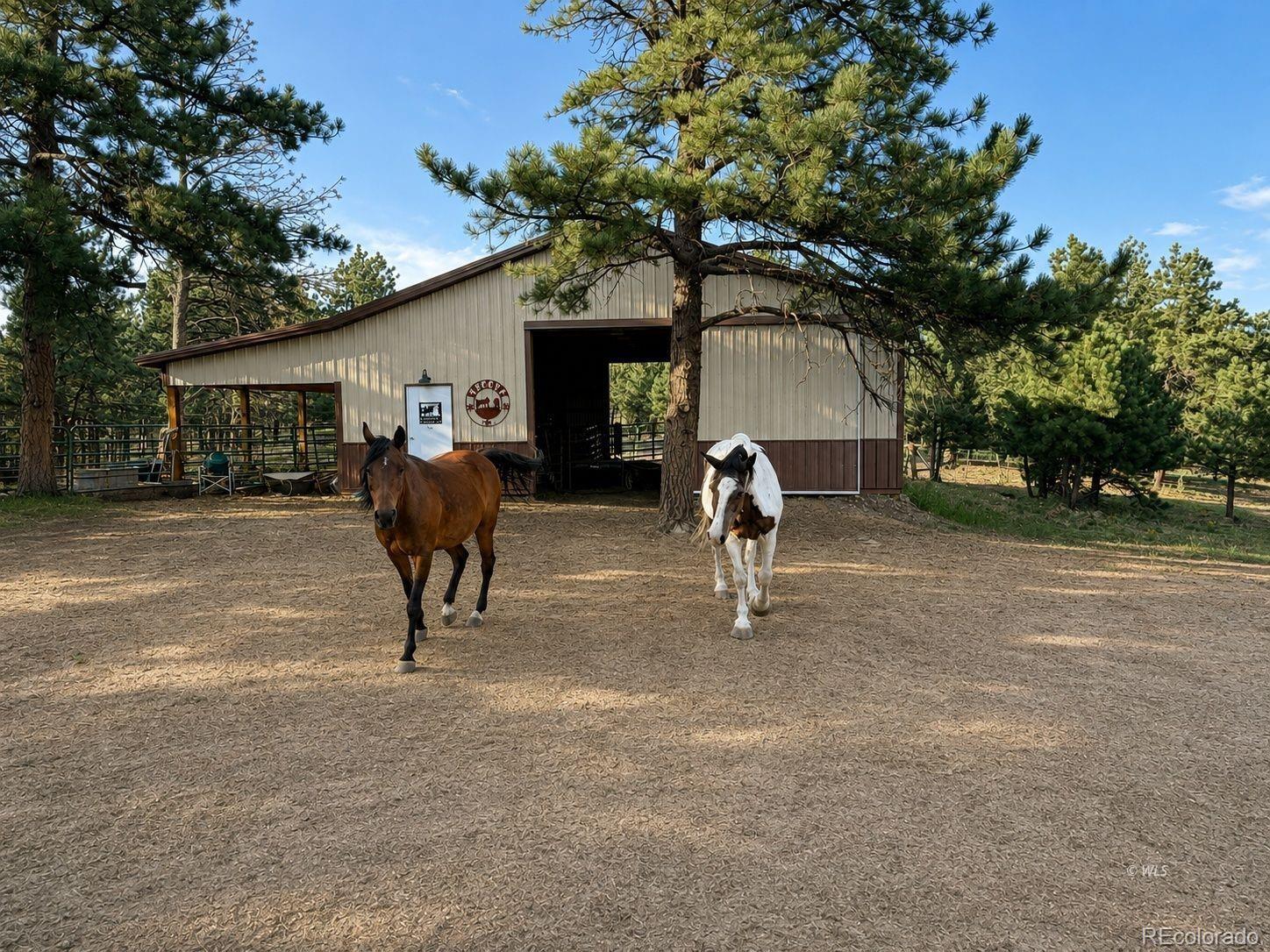 MLS Image #19 for 4701  county road 323 ,westcliffe, Colorado