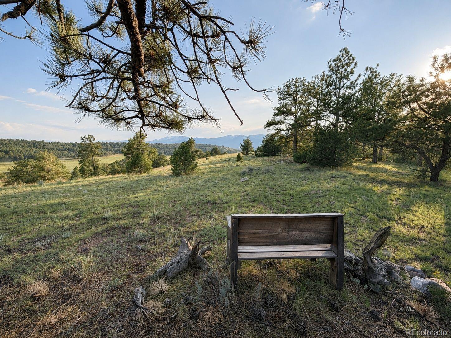 MLS Image #28 for 4701  county road 323 ,westcliffe, Colorado
