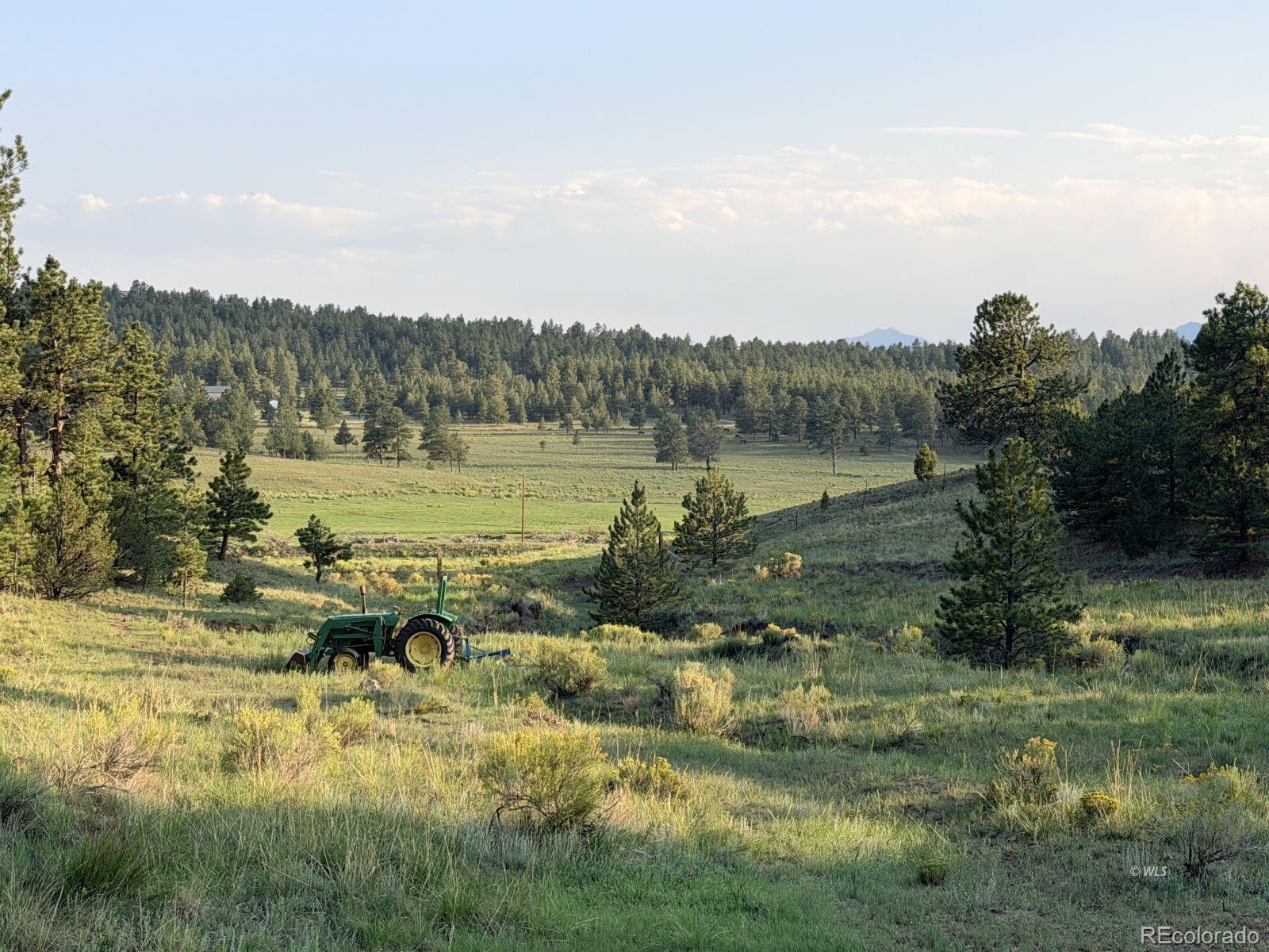 MLS Image #29 for 4701  county road 323 ,westcliffe, Colorado