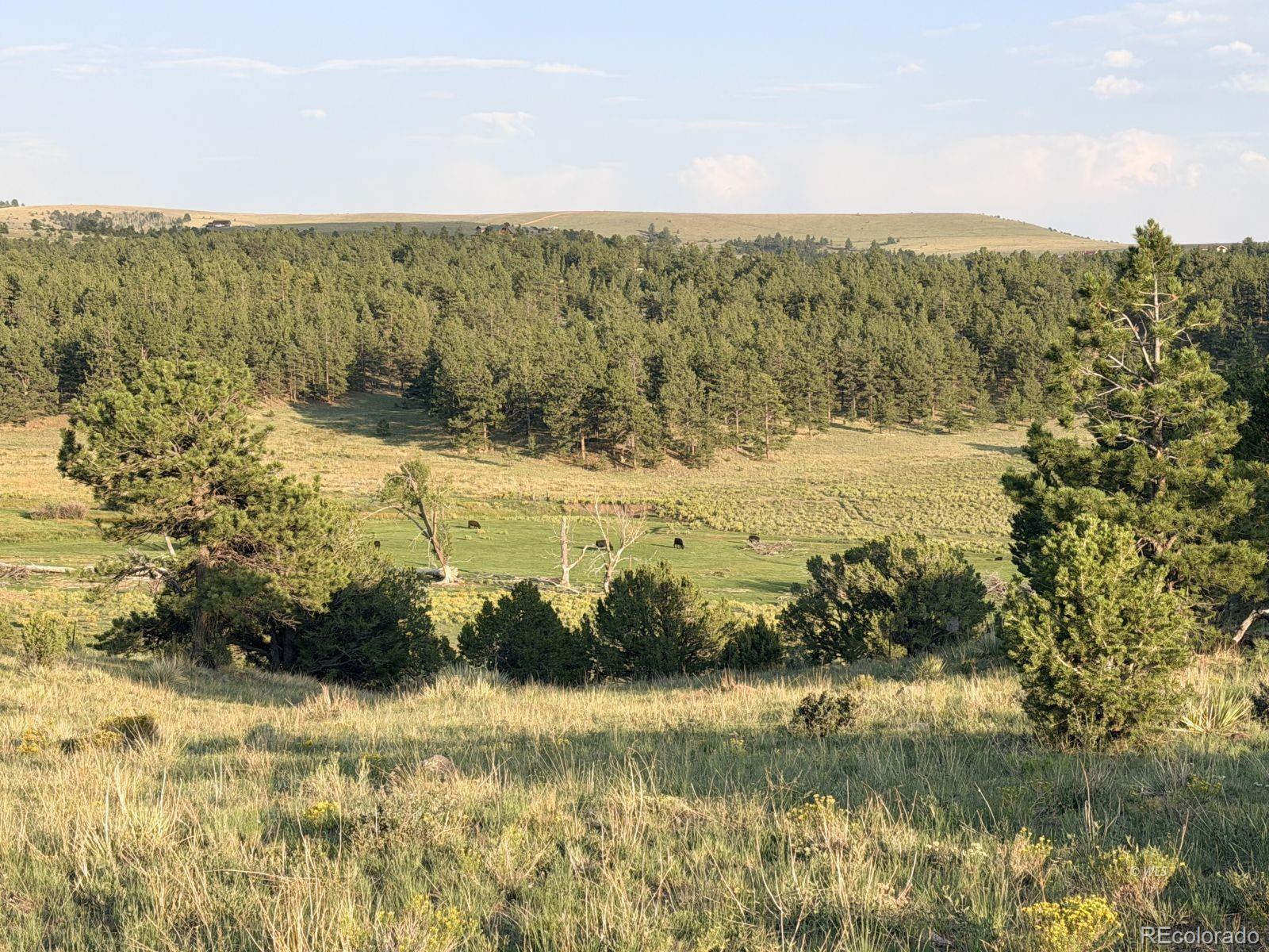 MLS Image #30 for 4701  county road 323 ,westcliffe, Colorado
