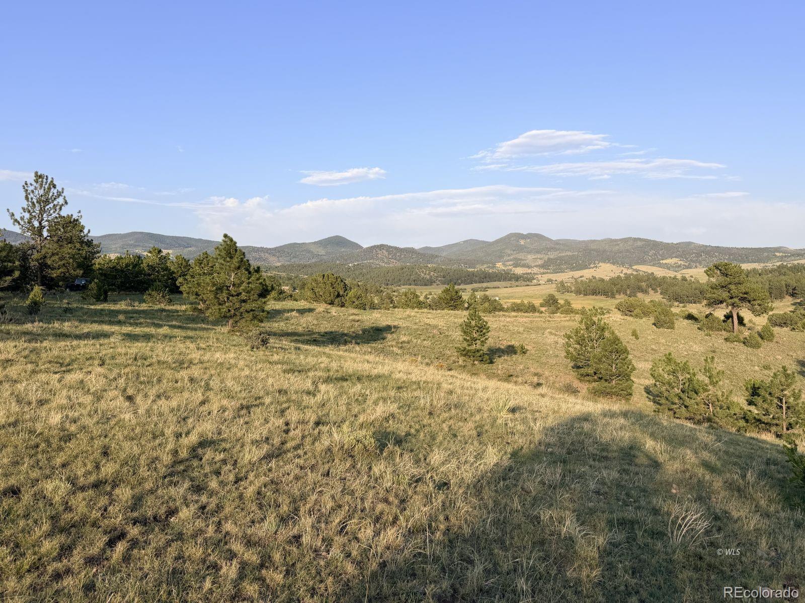 MLS Image #31 for 4701  county road 323 ,westcliffe, Colorado