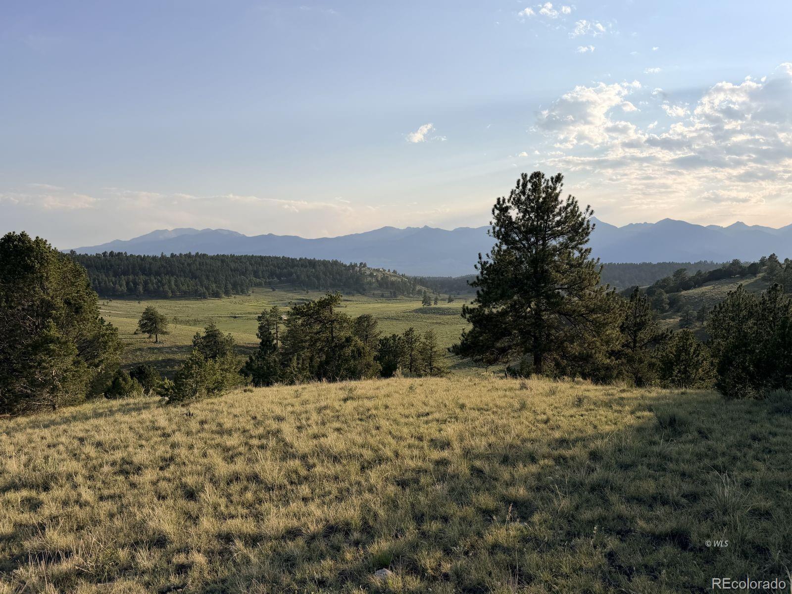 MLS Image #32 for 4701  county road 323 ,westcliffe, Colorado