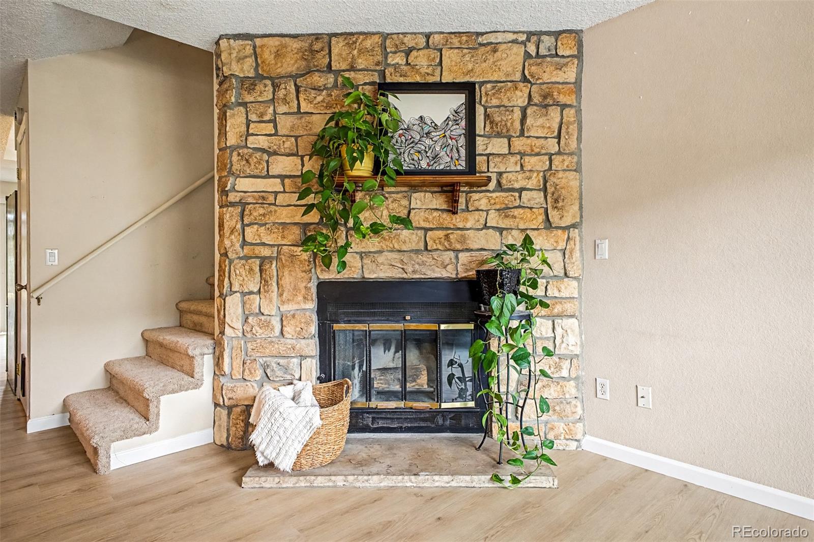 MLS Image #5 for 10869  bayfield way ,parker, Colorado