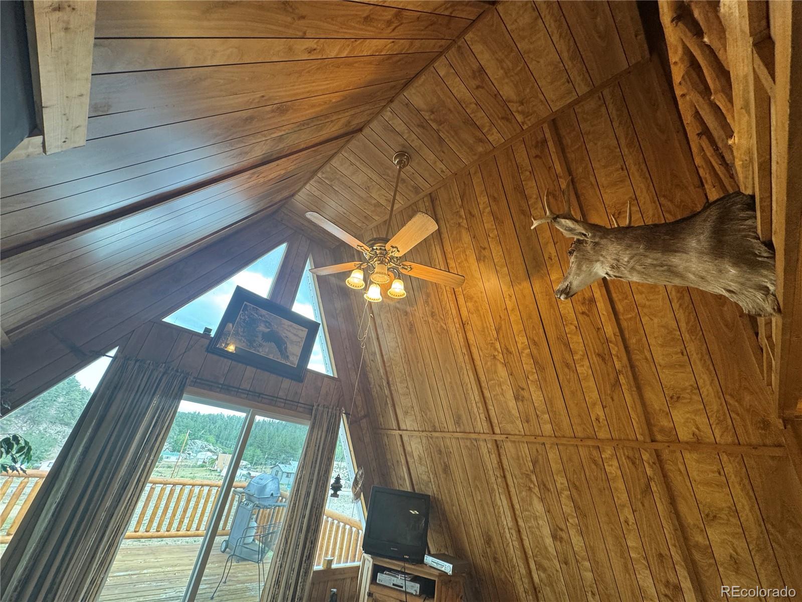 MLS Image #12 for 15  dogie trail,florissant, Colorado