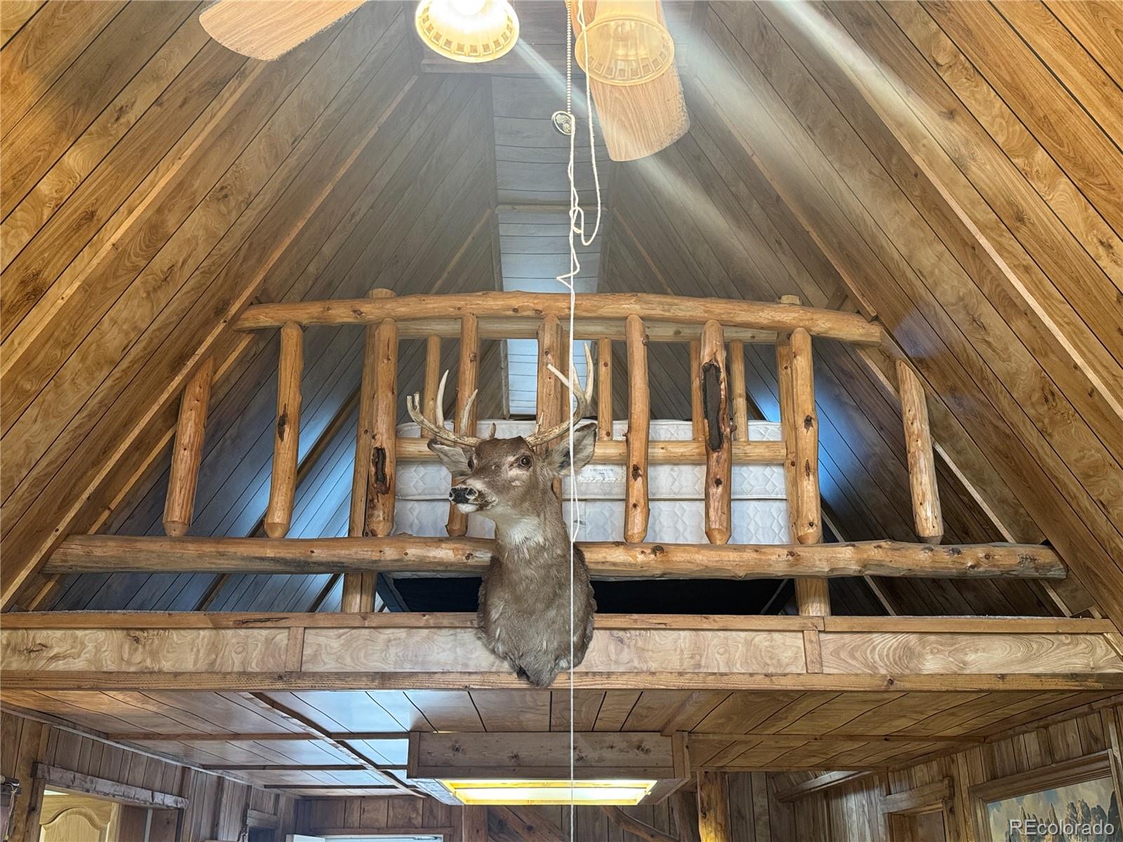 MLS Image #14 for 15  dogie trail,florissant, Colorado