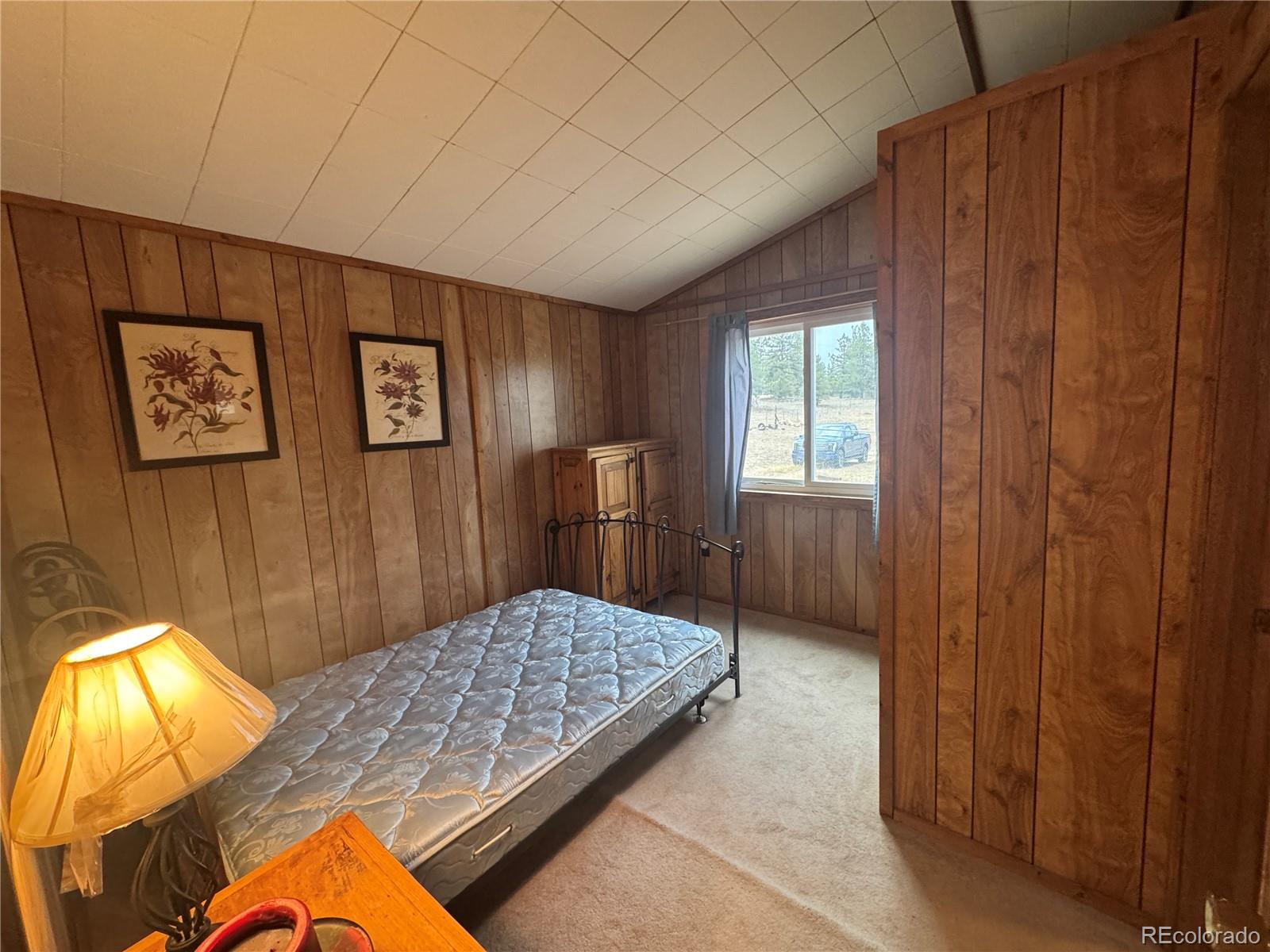 MLS Image #17 for 15  dogie trail,florissant, Colorado