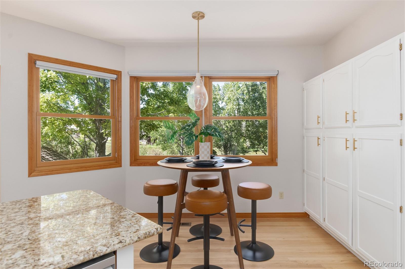 MLS Image #18 for 9455  autumn ash place,highlands ranch, Colorado