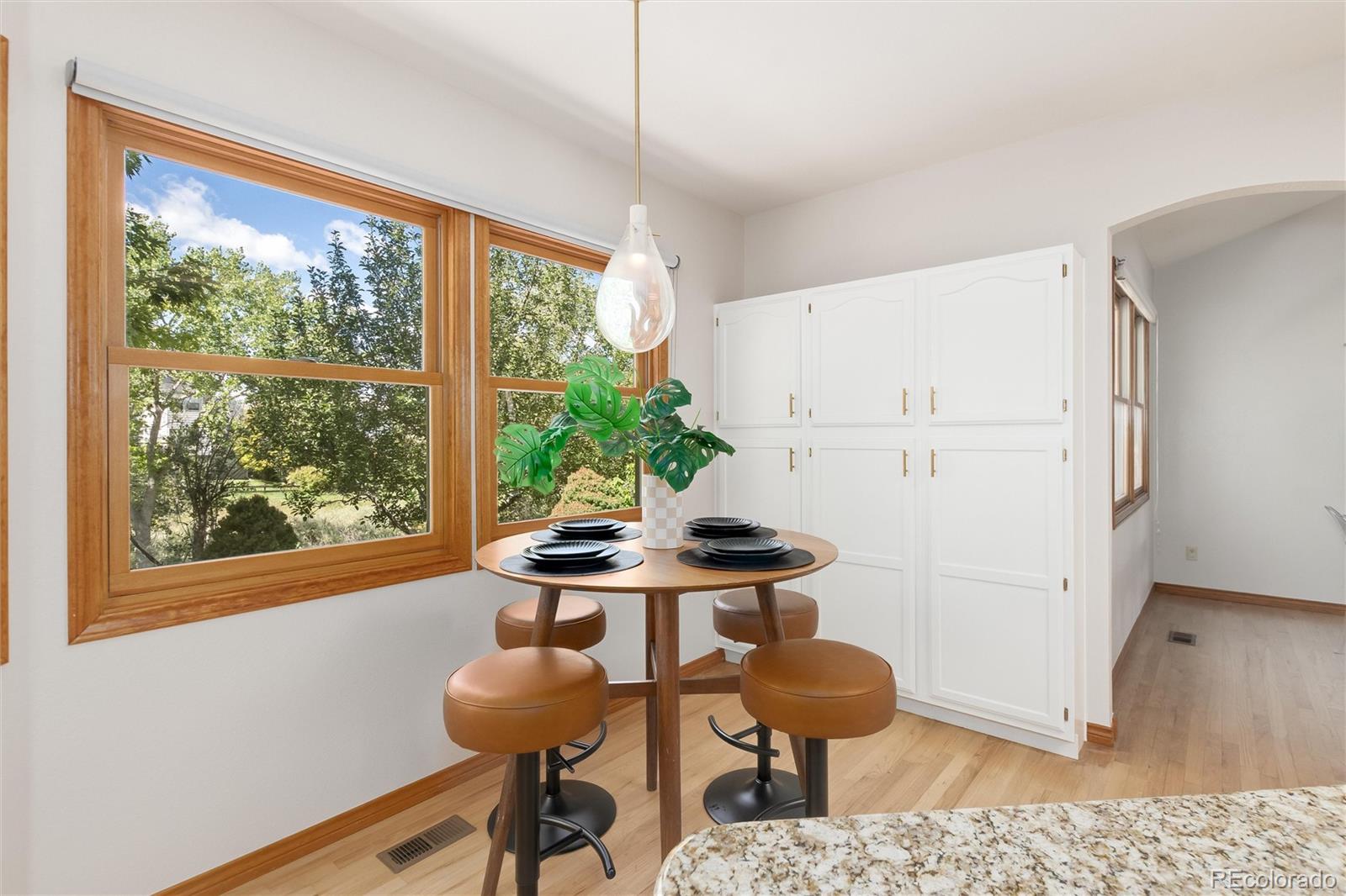 MLS Image #19 for 9455  autumn ash place,highlands ranch, Colorado