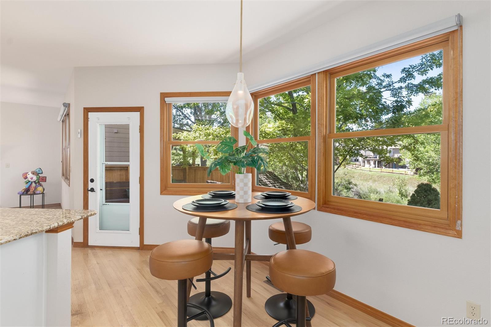 MLS Image #20 for 9455  autumn ash place,highlands ranch, Colorado