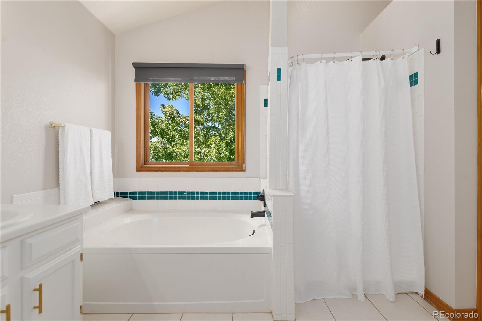 MLS Image #29 for 9455  autumn ash place,highlands ranch, Colorado