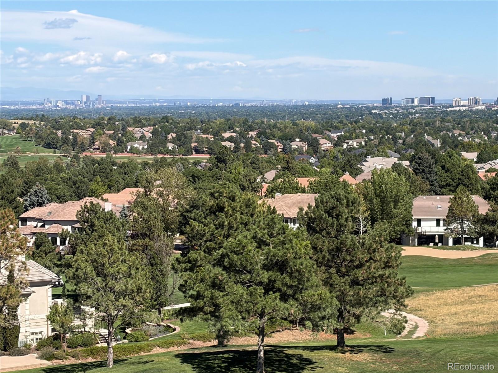 MLS Image #8 for 10201  prestwick trail,lone tree, Colorado