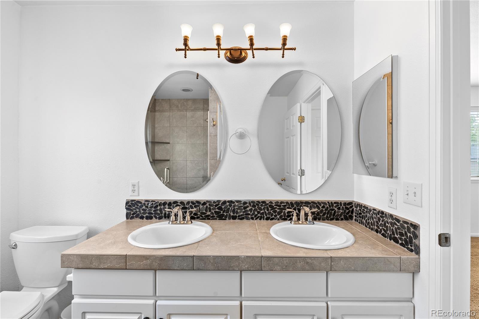 MLS Image #30 for 9676  silverberry circle,littleton, Colorado