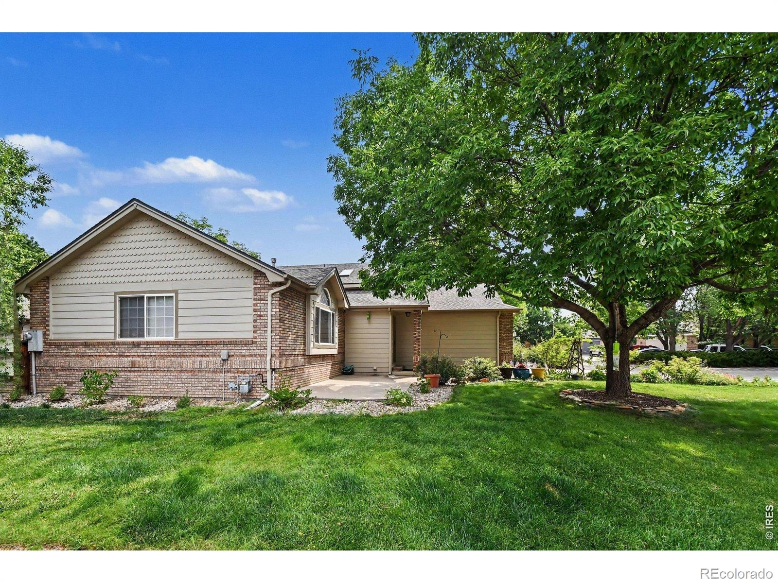MLS Image #2 for 1537  platte court,loveland, Colorado