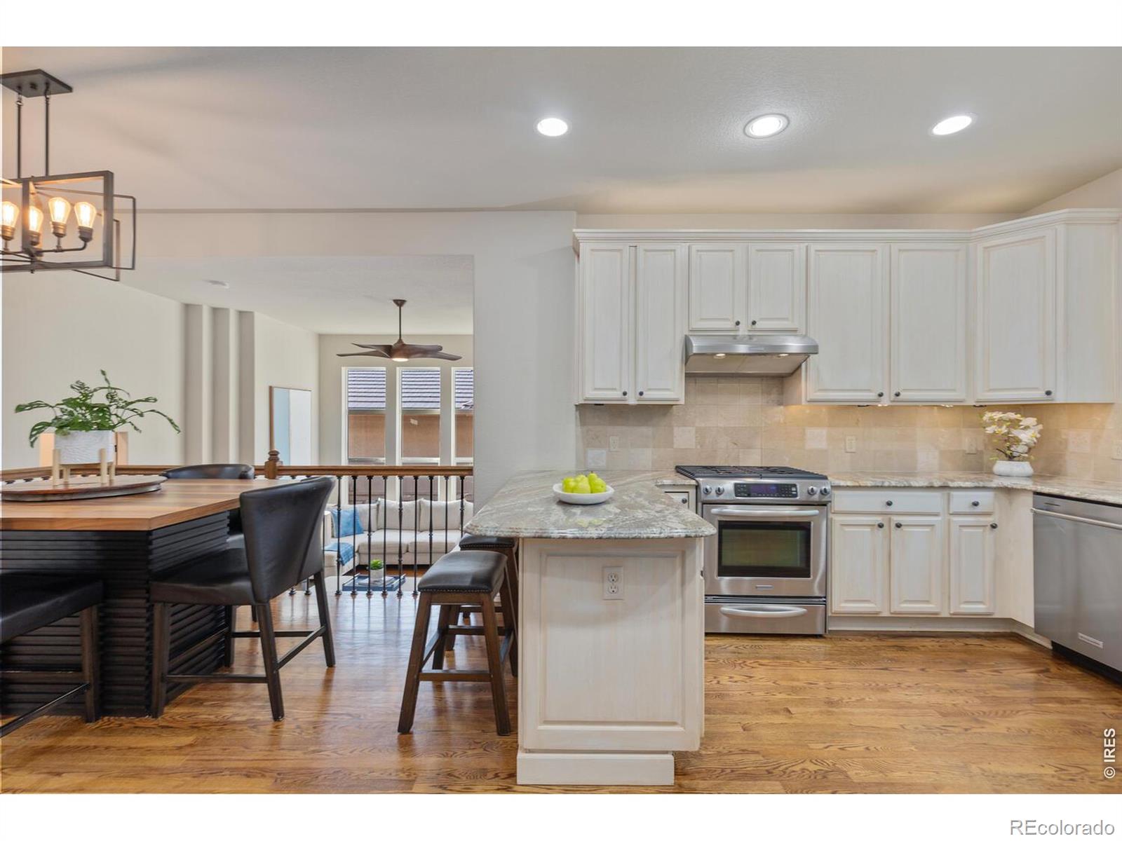 MLS Image #11 for 6874  raspberry run,littleton, Colorado
