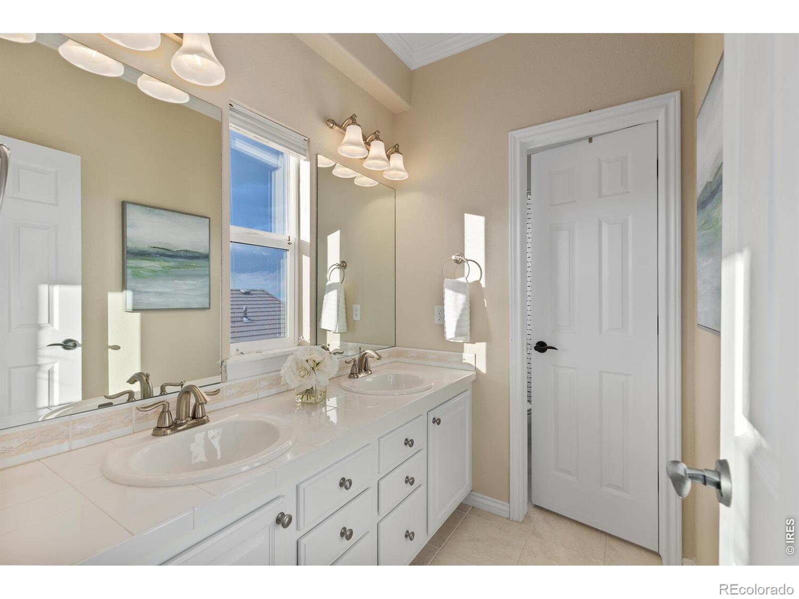MLS Image #19 for 6874  raspberry run,littleton, Colorado