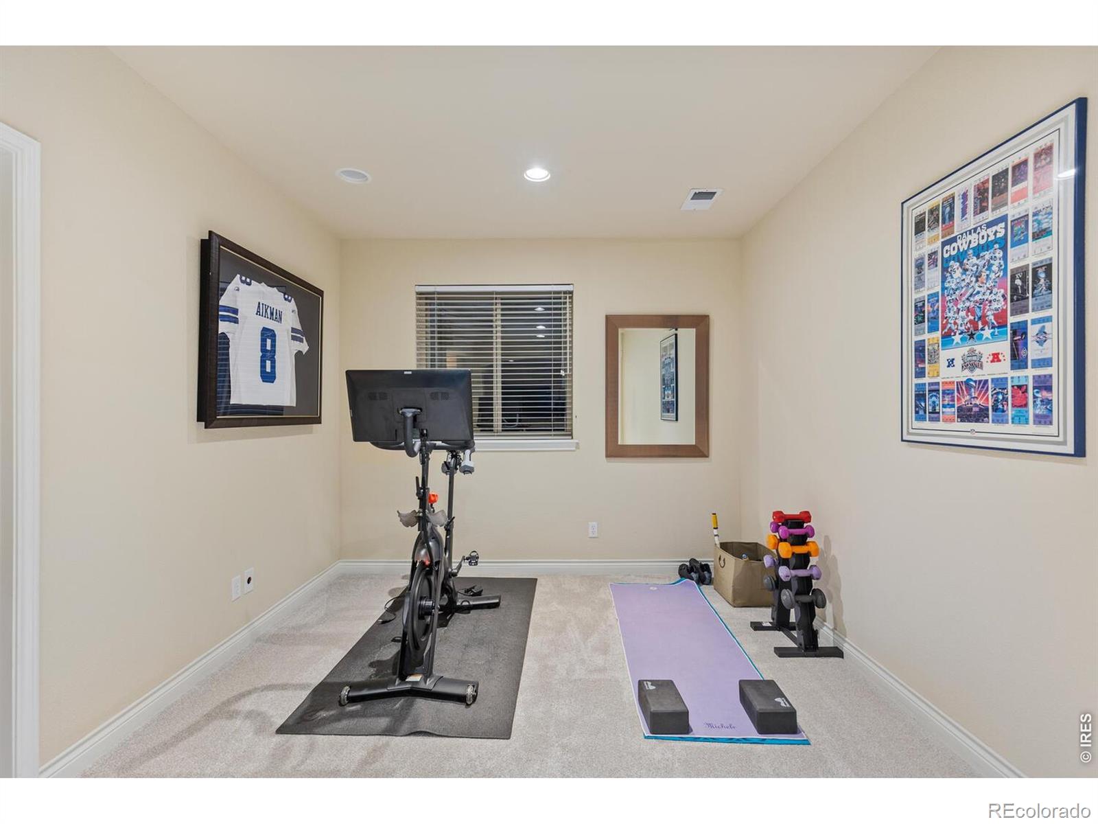 MLS Image #21 for 6874  raspberry run,littleton, Colorado