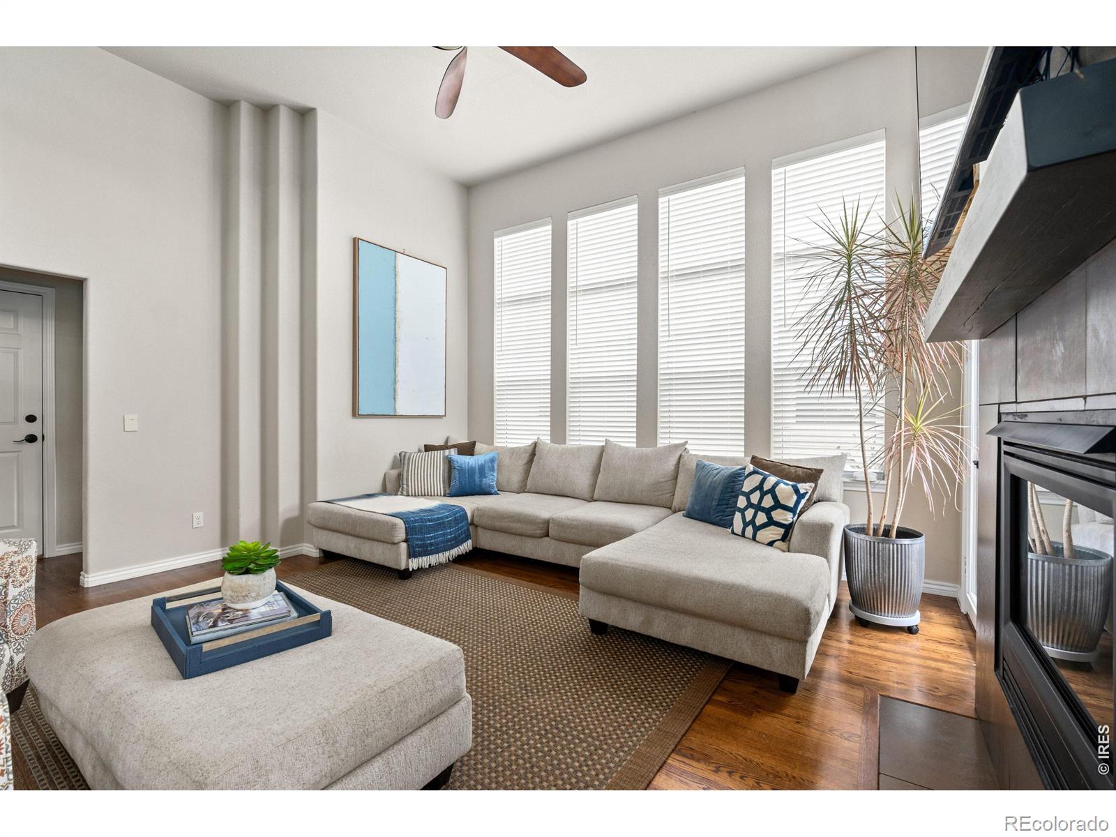 MLS Image #9 for 6874  raspberry run,littleton, Colorado