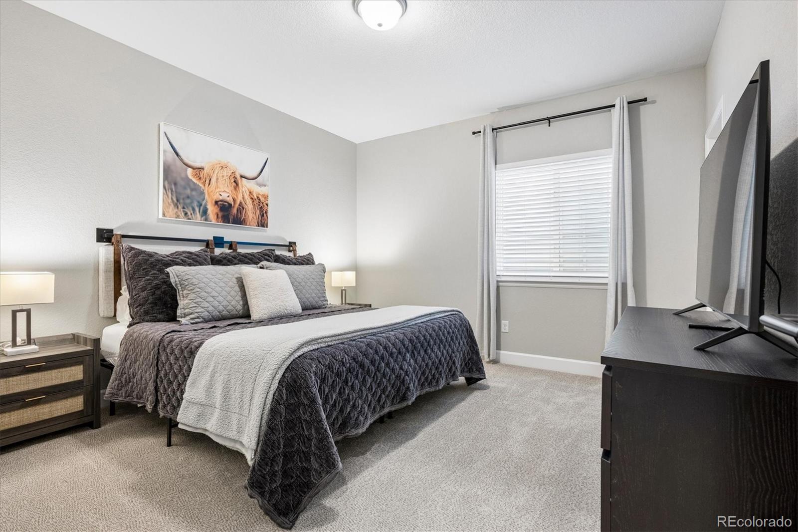 MLS Image #35 for 8886  river peak circle,littleton, Colorado