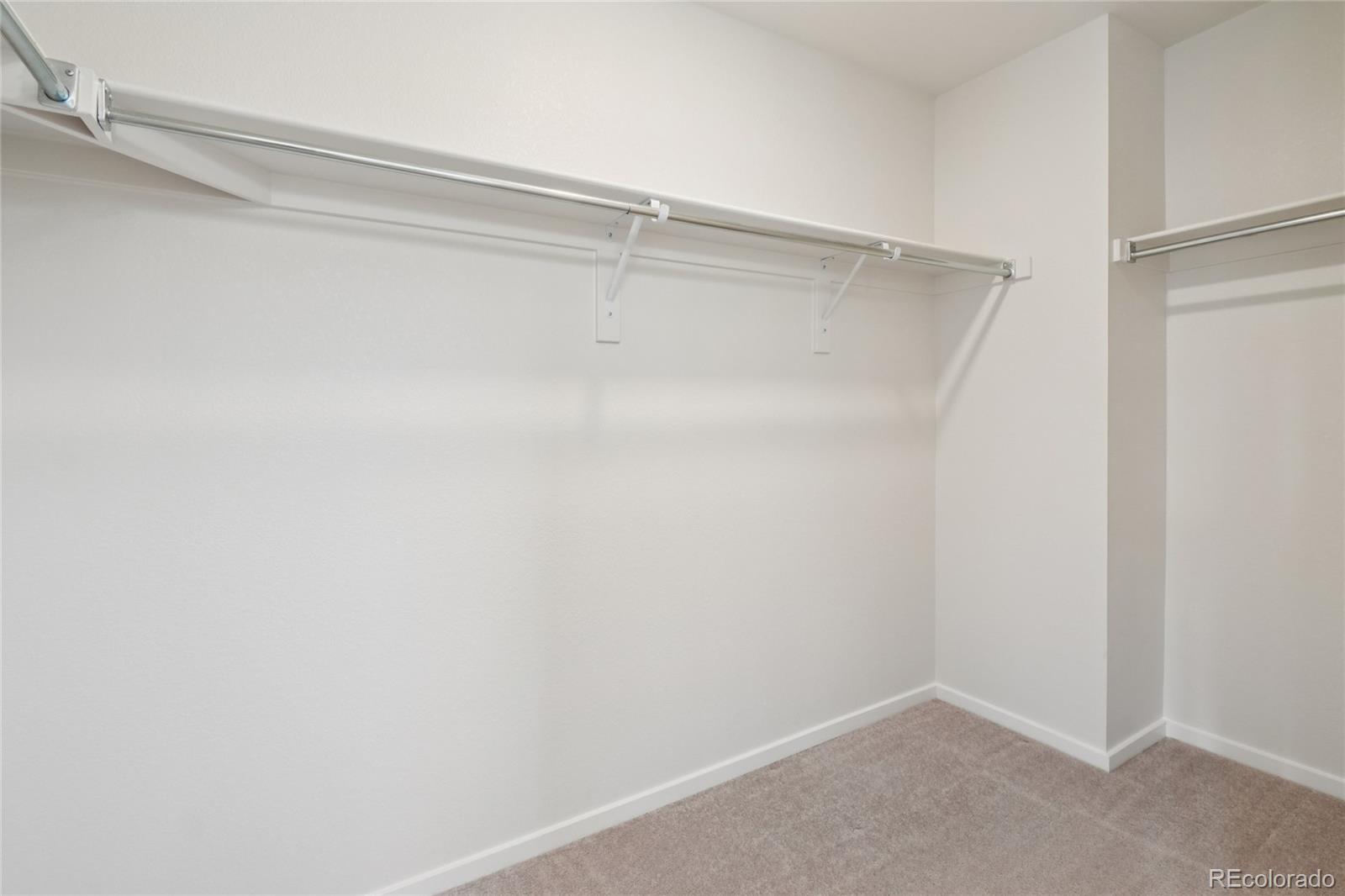 MLS Image #20 for 5672  jedidiah drive,timnath, Colorado