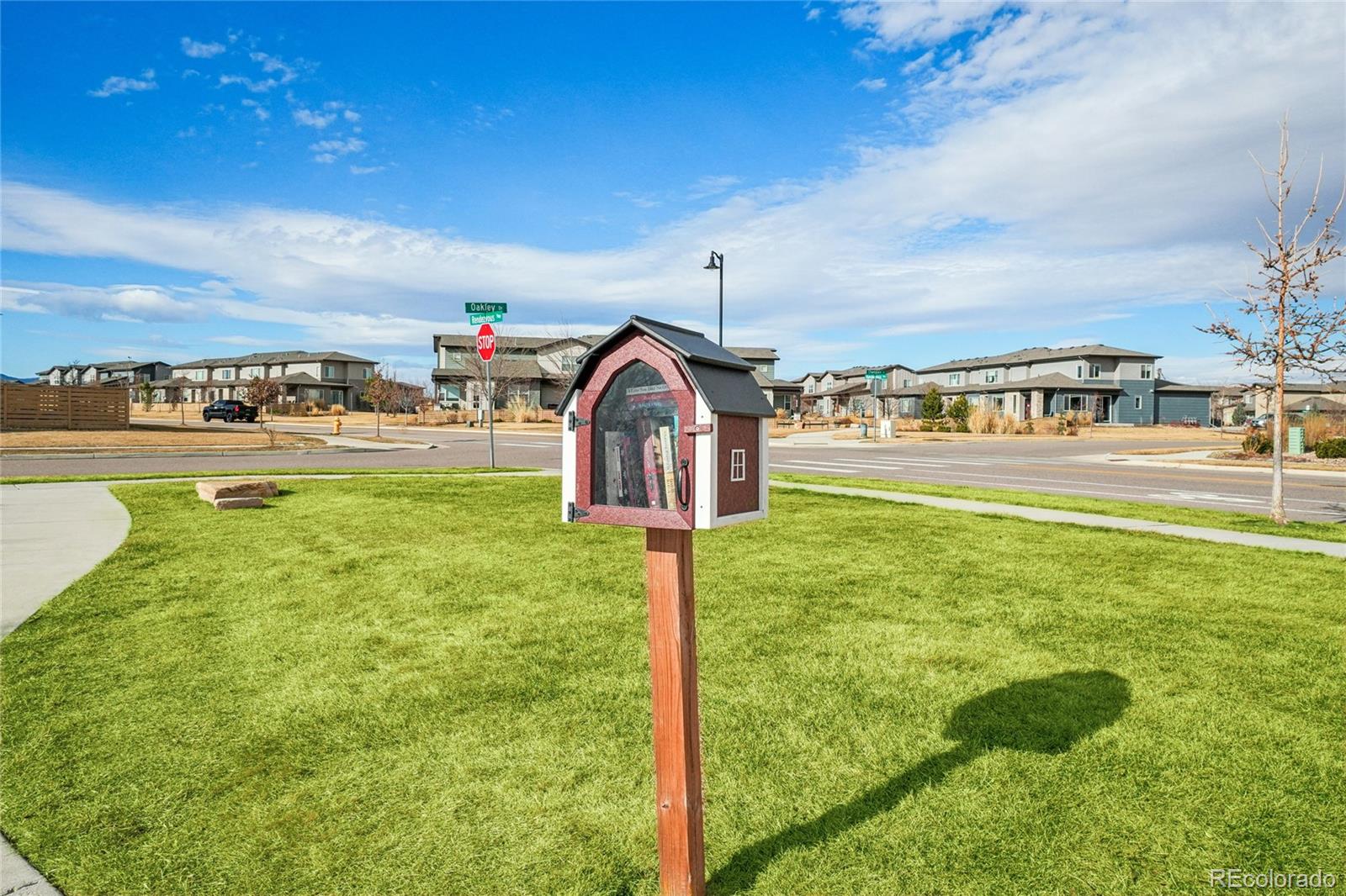 MLS Image #32 for 5672  jedidiah drive,timnath, Colorado