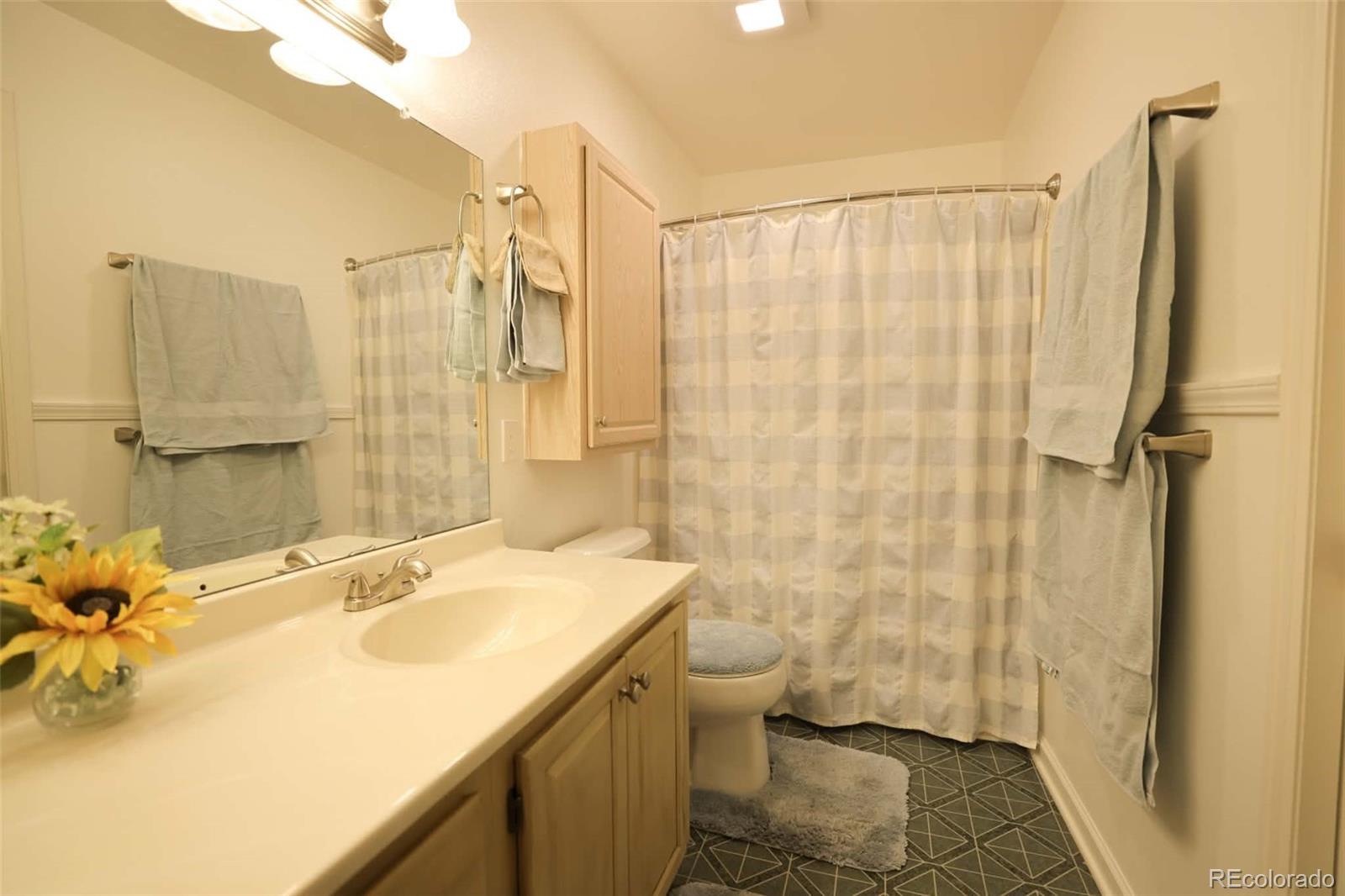 MLS Image #14 for 8342  pebble creek way,littleton, Colorado