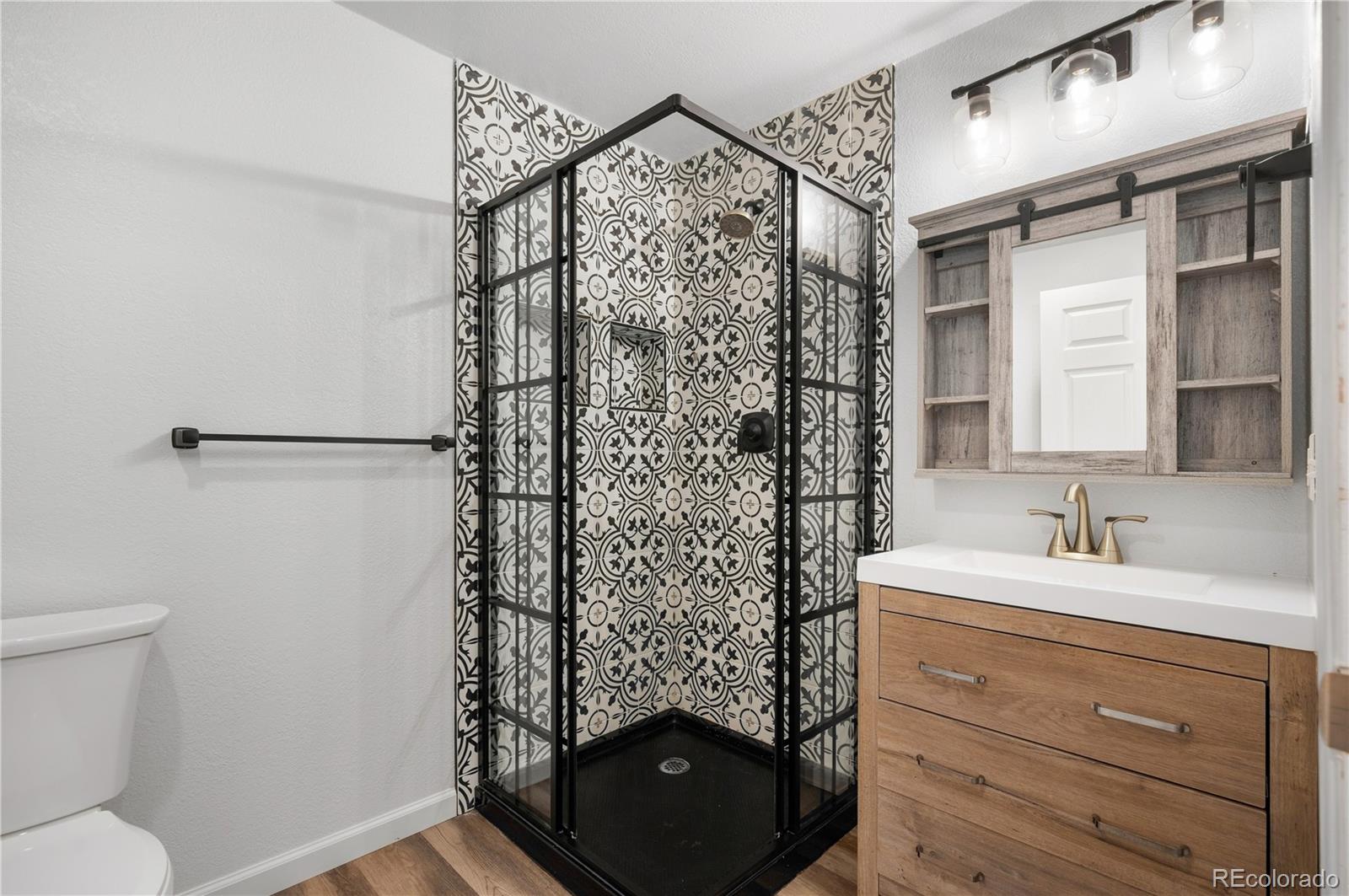 MLS Image #20 for 12123  columbine street,thornton, Colorado