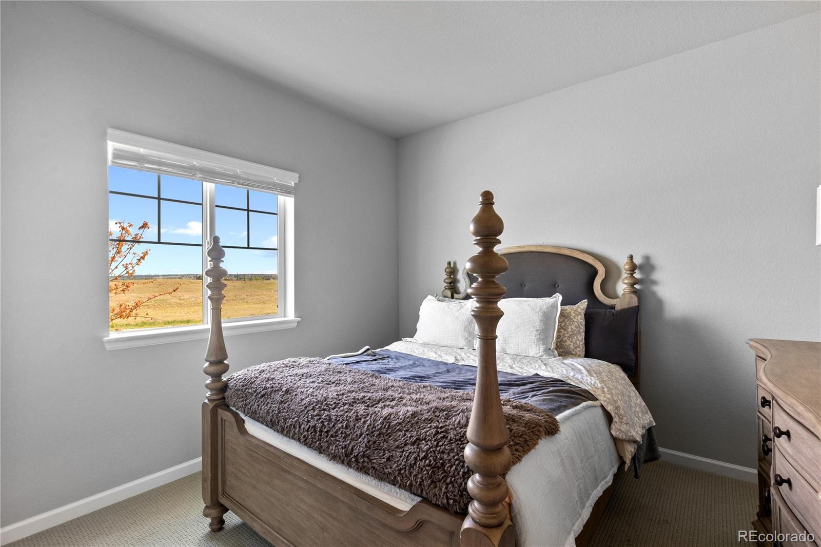 MLS Image #35 for 18258  martinello drive,parker, Colorado