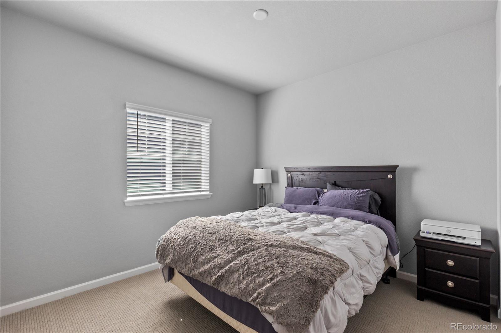 MLS Image #39 for 18258  martinello drive,parker, Colorado