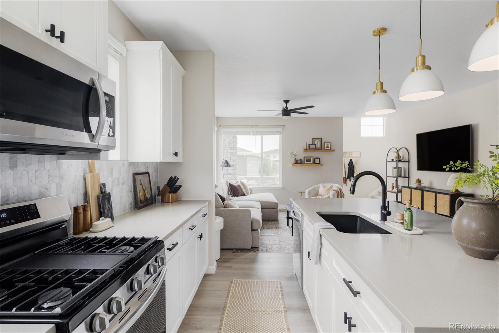 MLS Image #13 for 16439  askins loop,parker, Colorado