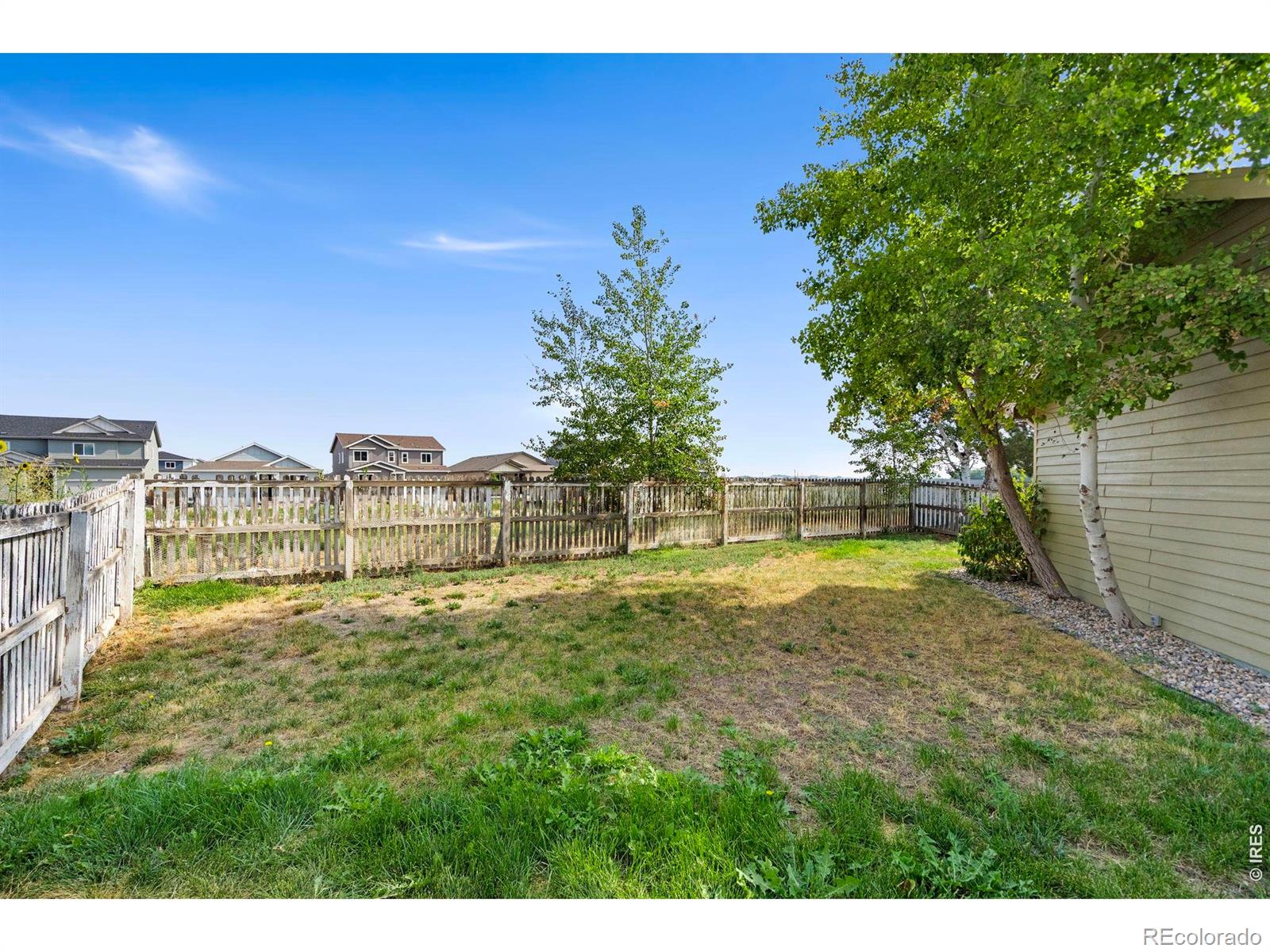 MLS Image #33 for 1422  fairfield avenue,windsor, Colorado