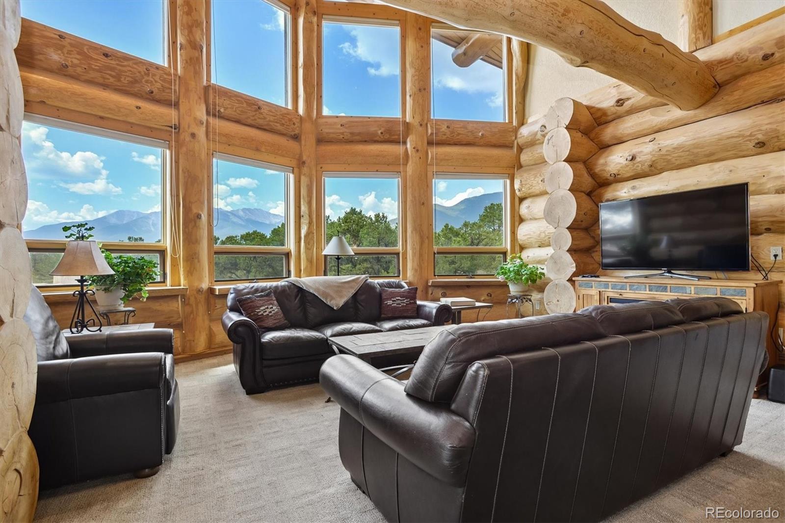 MLS Image #14 for 16988  county road 363 ,buena vista, Colorado