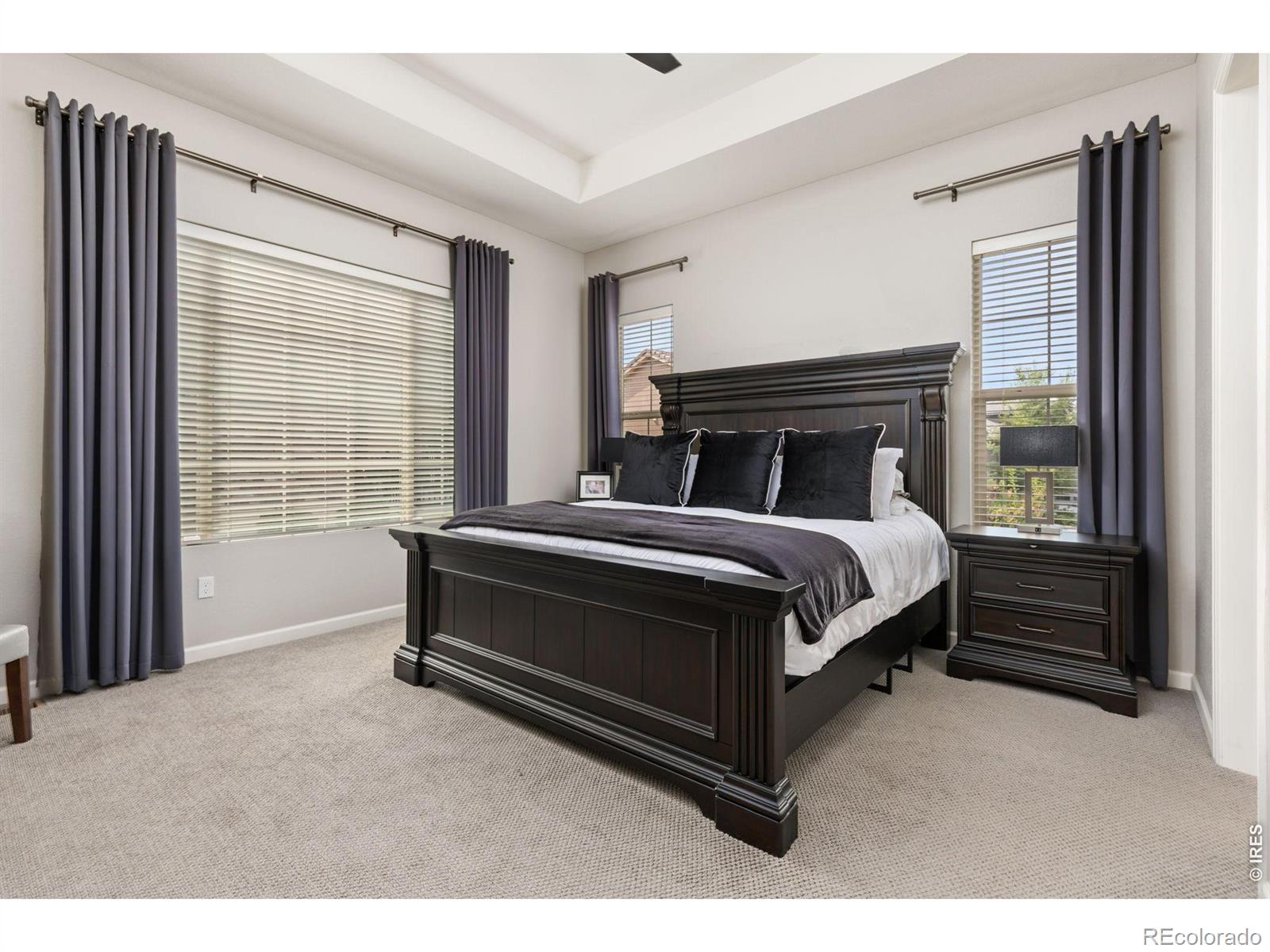 MLS Image #9 for 2603  reserve court,erie, Colorado