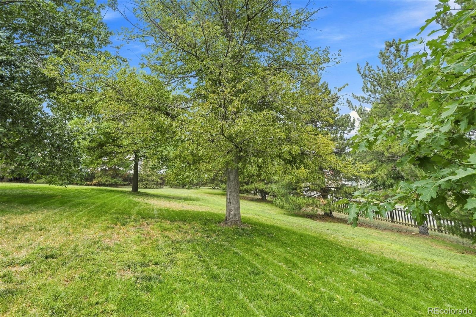 MLS Image #46 for 9748  yukon court,broomfield, Colorado