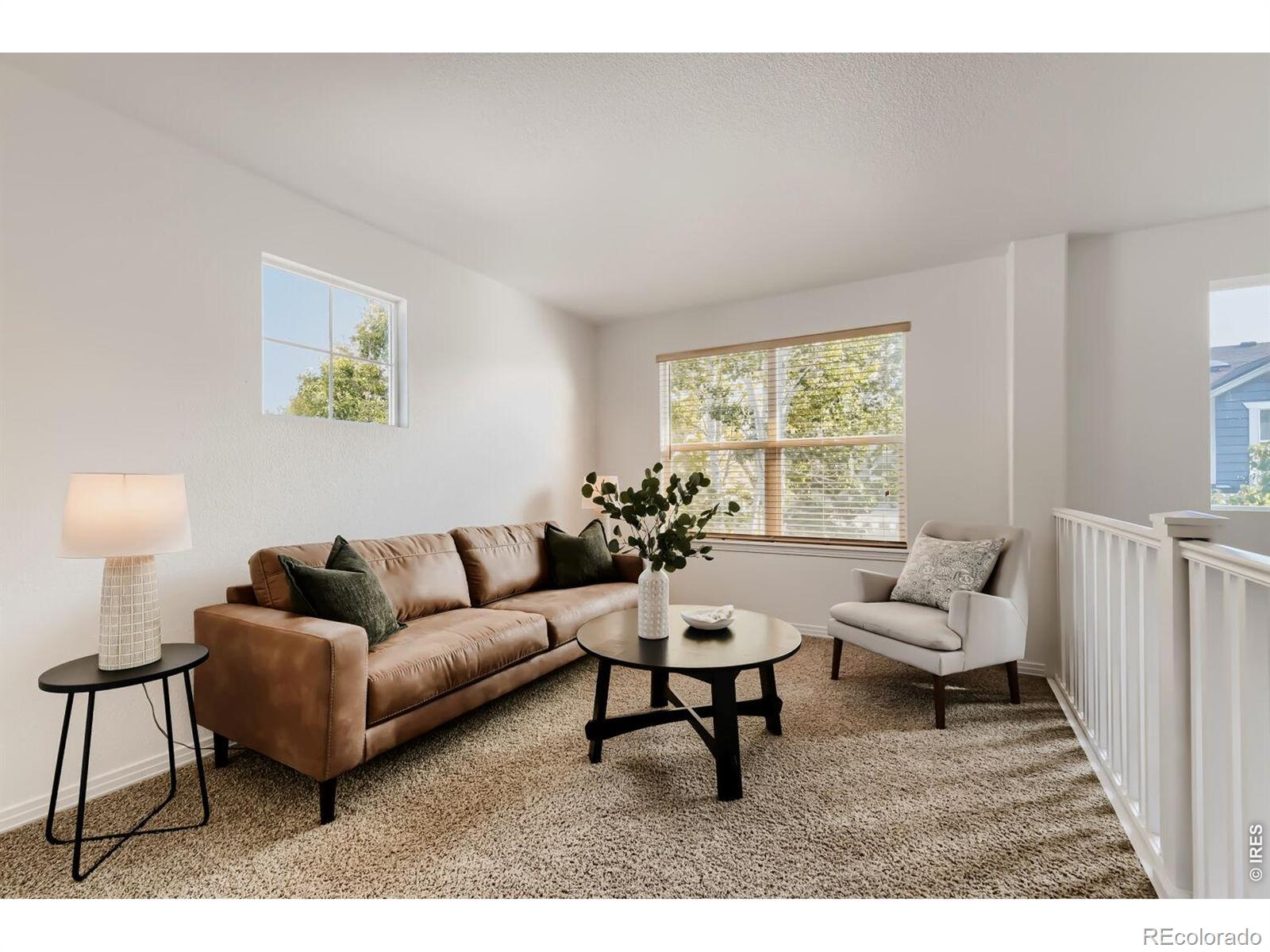 MLS Image #19 for 14338  lakeview lane,broomfield, Colorado