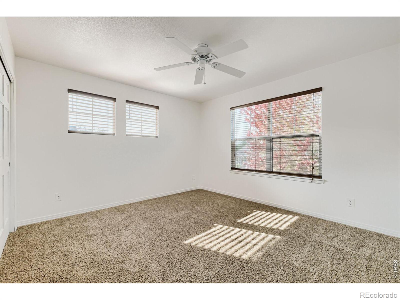 MLS Image #27 for 14338  lakeview lane,broomfield, Colorado