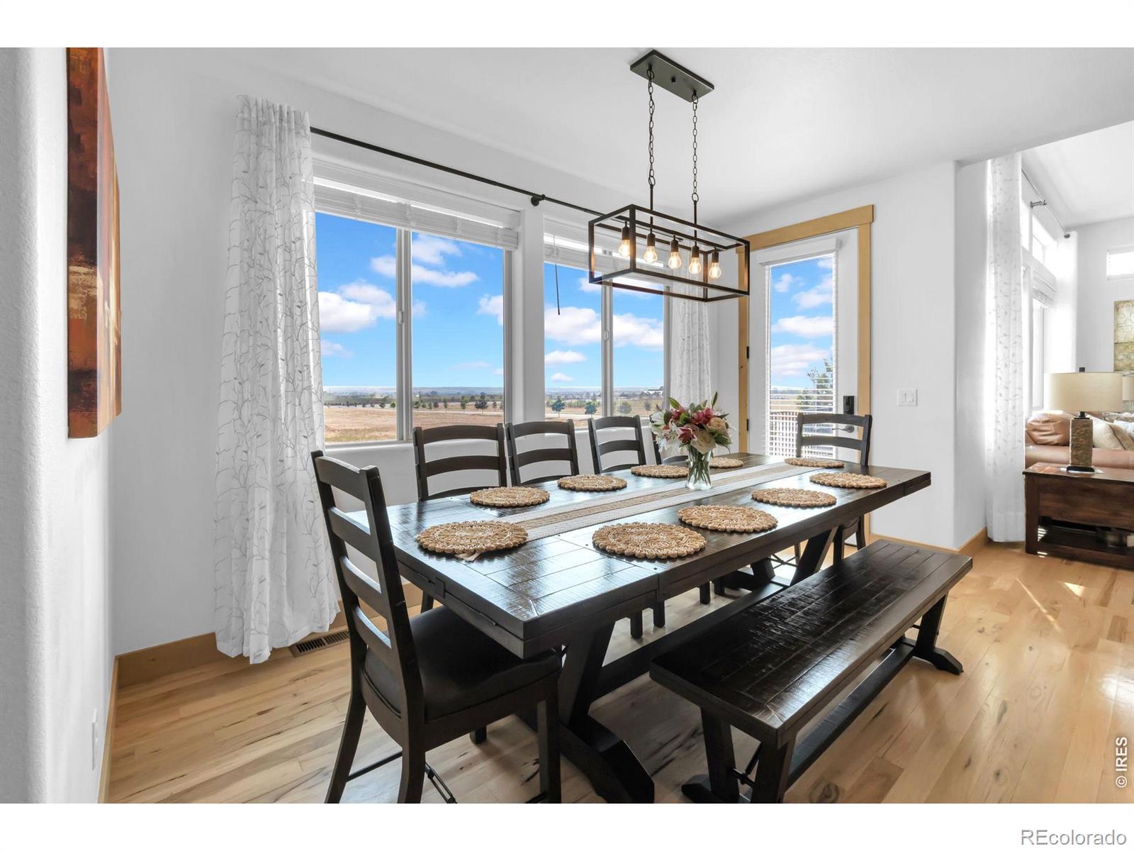 MLS Image #16 for 1699  corby drive,windsor, Colorado